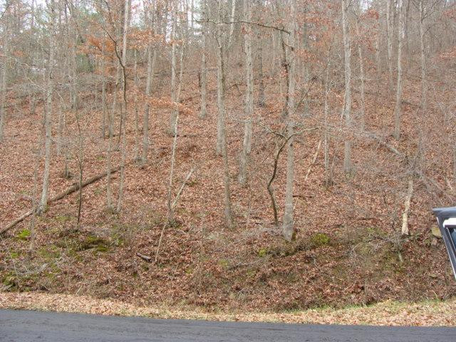 700 Burton Branch Road Morehead, KY 40351 - Photo 4 of 25 Photo 4