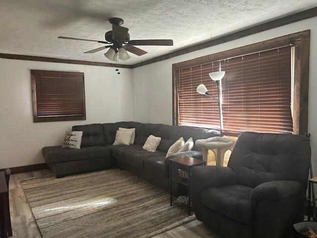 38 Hemlock Drive Beaver, PA 15009 - Photo 3 of 29