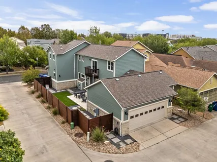 a park with tall trees