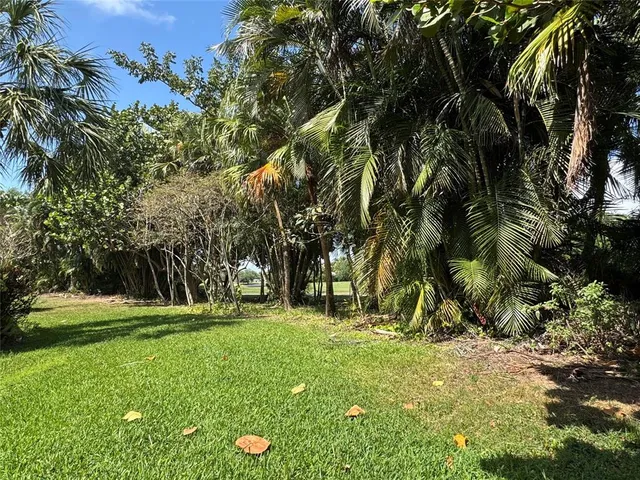 a view of a trees in a yard