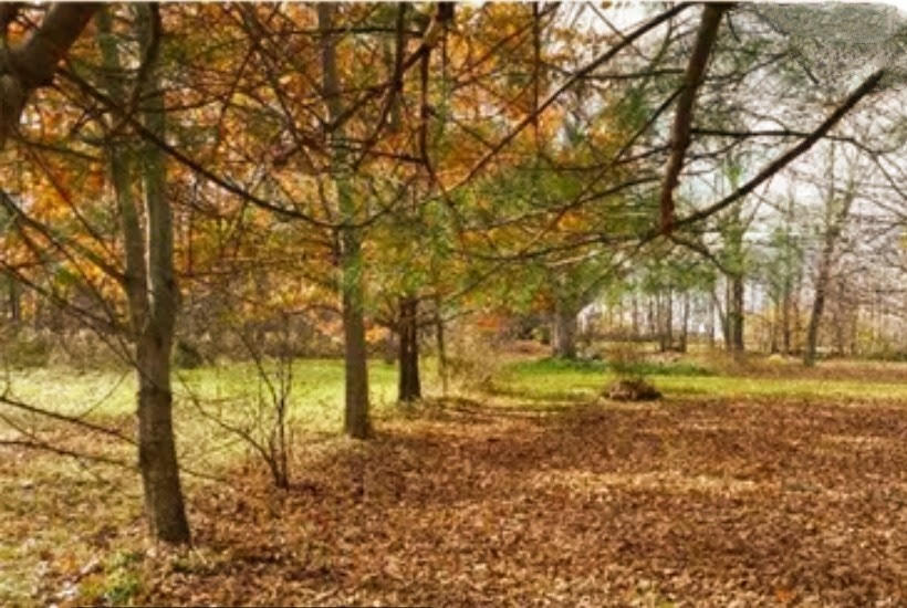 64 St Albans Road Corinna, ME 04928 - Photo 33 of 33 unnamed (98)