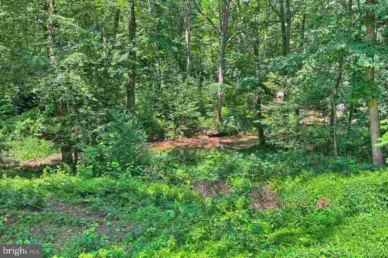 269 Pond Road Delta, PA 17314 - Photo 20 of 25 Gallery Image 20