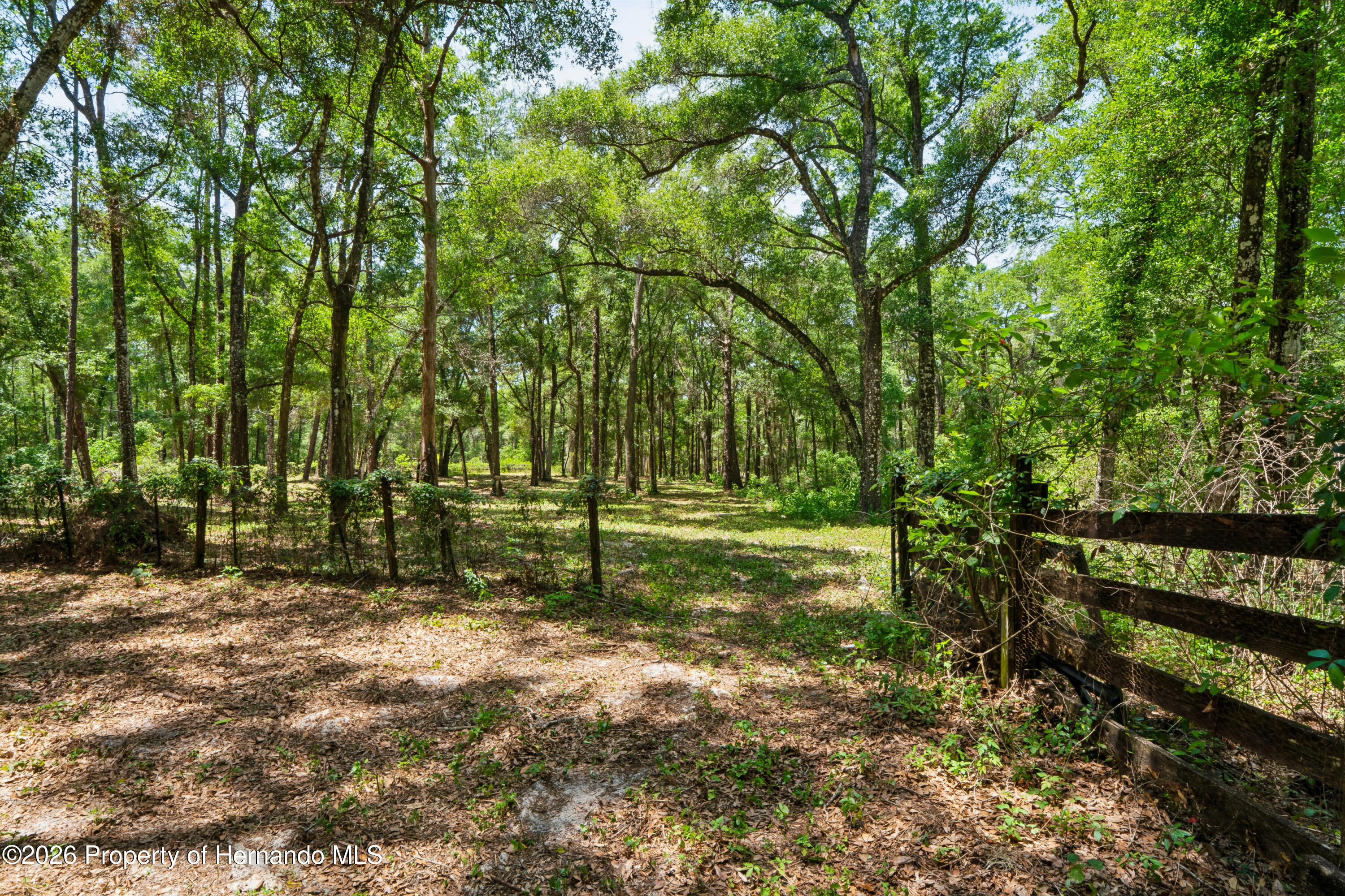 16225 Bonzai Trail Spring Hill, FL 34613 - Photo 72 of 81