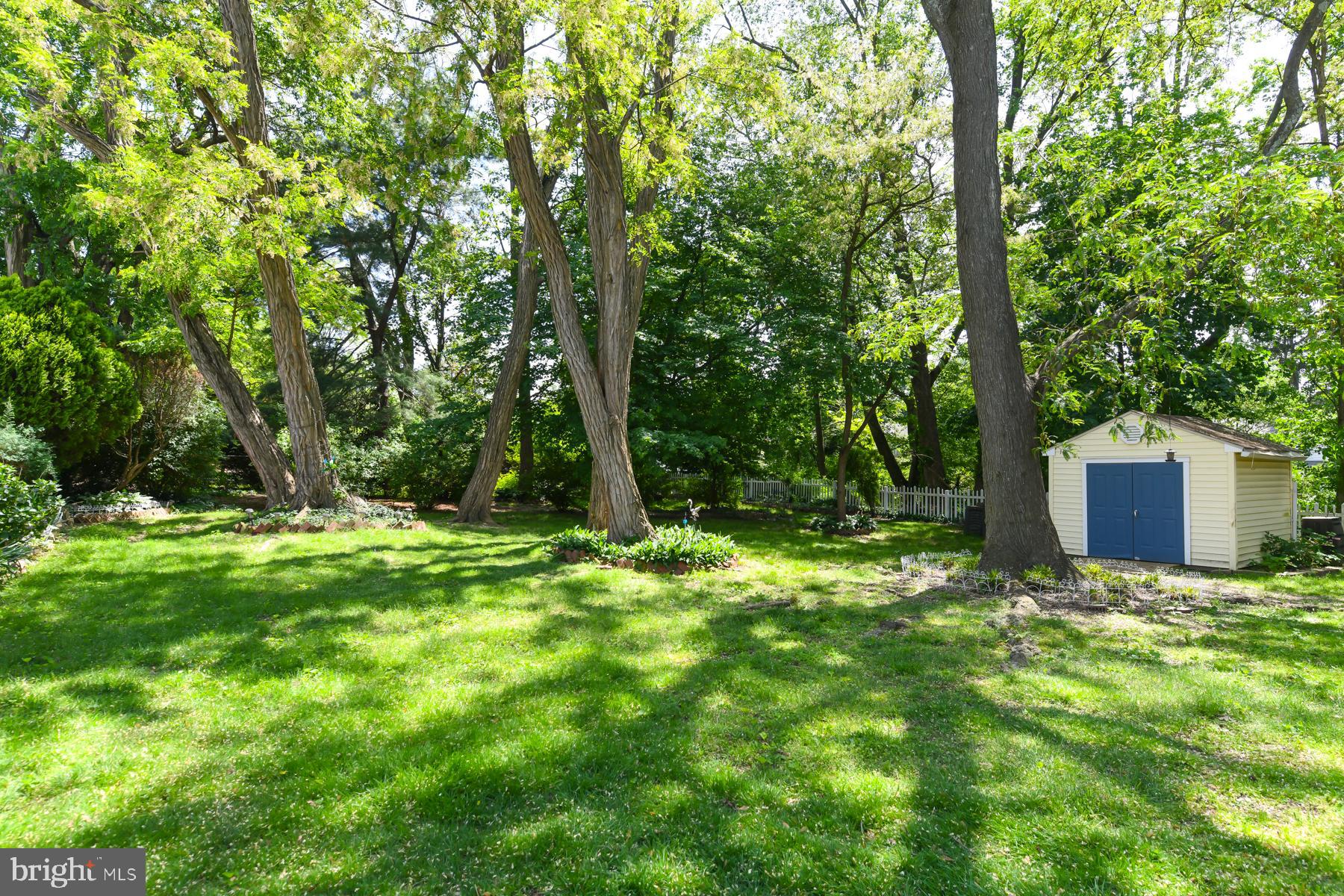 48 Sunset Drive Mount Holly, NJ 08060 - Photo 31 of 46 a backyard of a house with plants and large trees