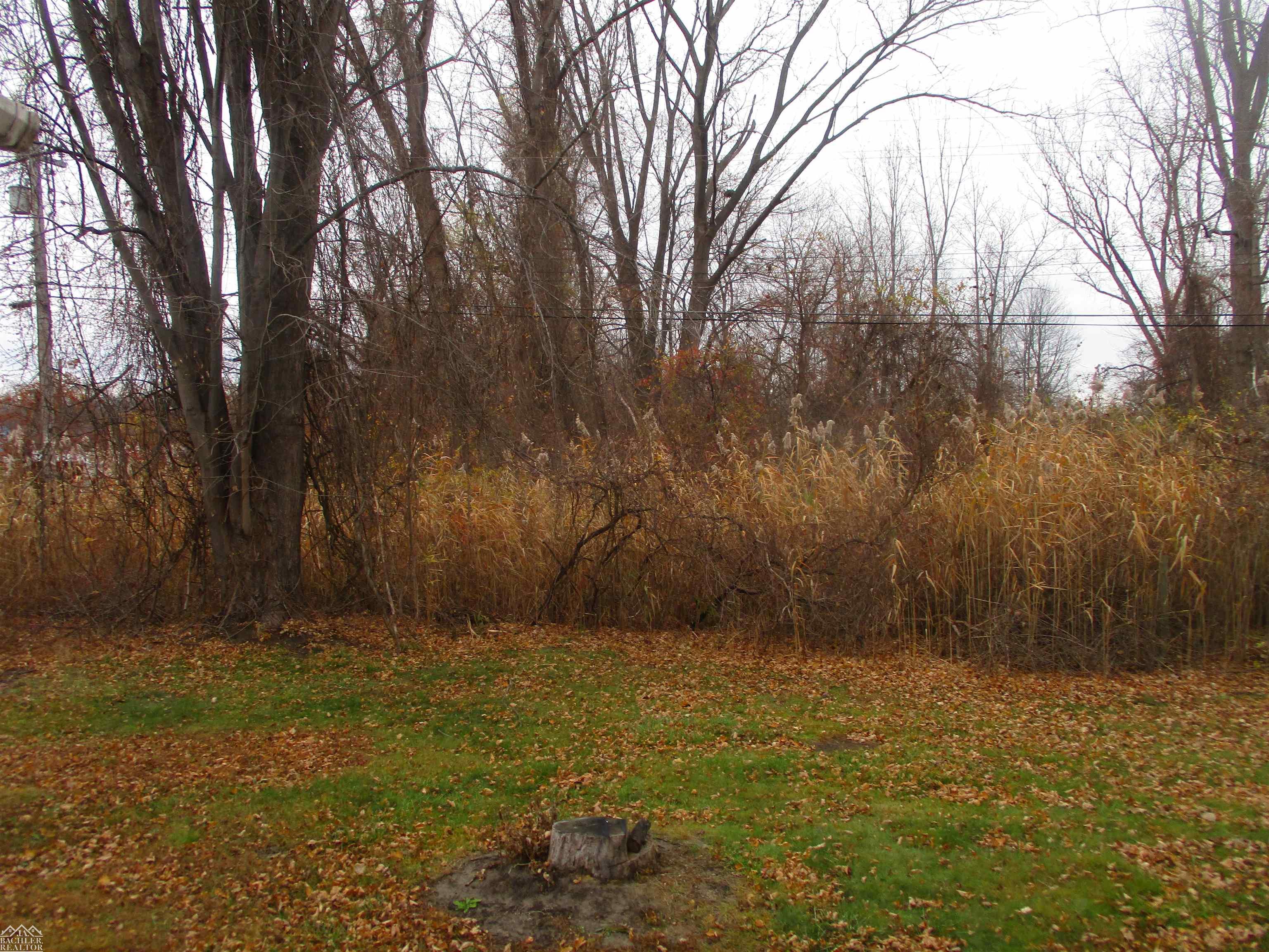 2214 Pointe Tremble Road Algonac, MI 48001 - Photo 11 of 12 50096262-10.JPG