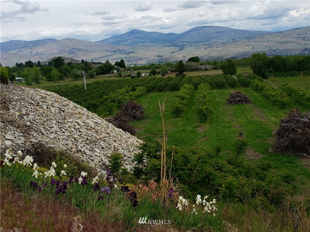 12 Caudill Road Omak, WA 98841 - Photo 8 of 37 a view of a lush green field with a houses