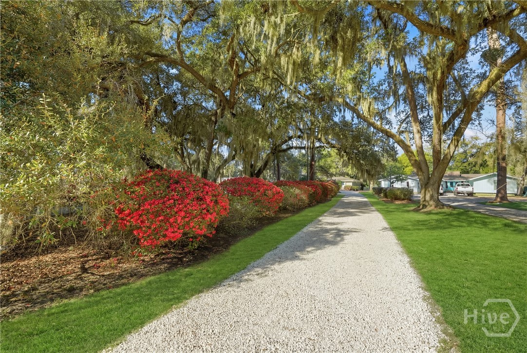 361 Island Road Savannah, GA 31406 - Photo 3 of 58