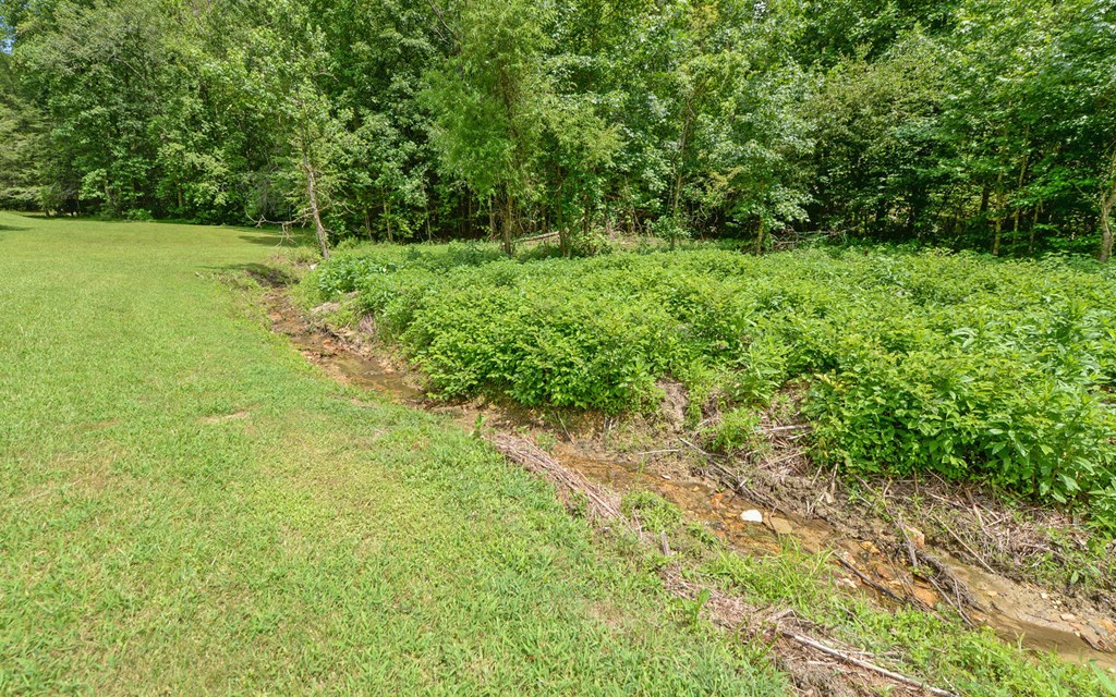 3632 Whitepath Road Ellijay, GA 30540 - Photo 31 of 44 Gallery Image 31