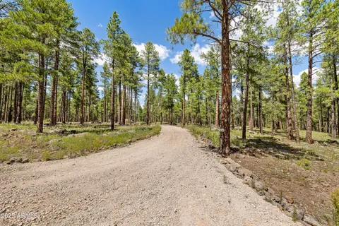 a view of outdoor space with trees