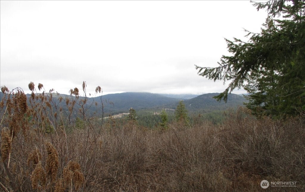 18-xxx East Miner Road Mead, WA 99021 - Photo 19 of 40 a view of a city