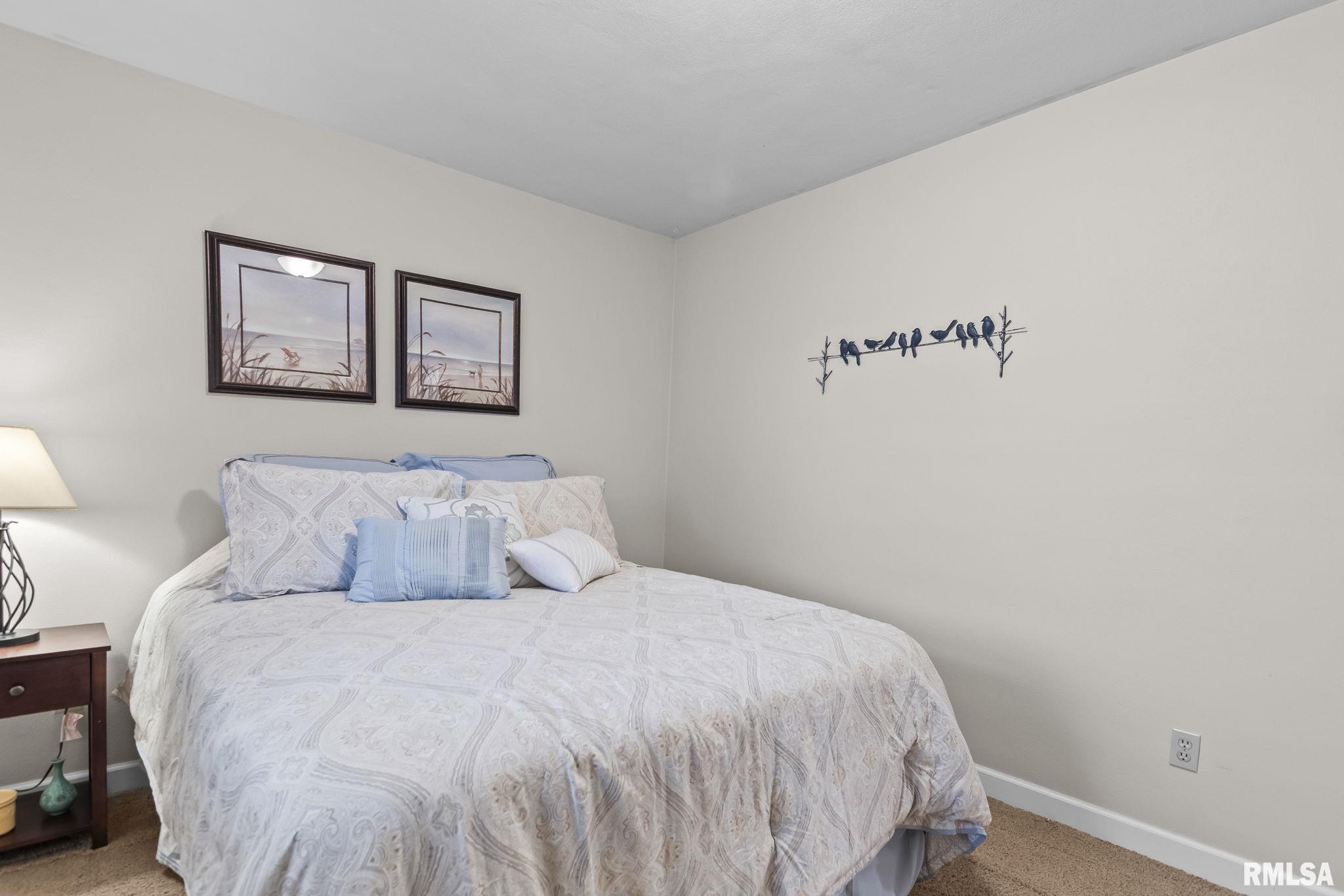 56 Bonnie Brook Road Chatham, IL 62629 - Photo 21 of 31 Gallery Image 21