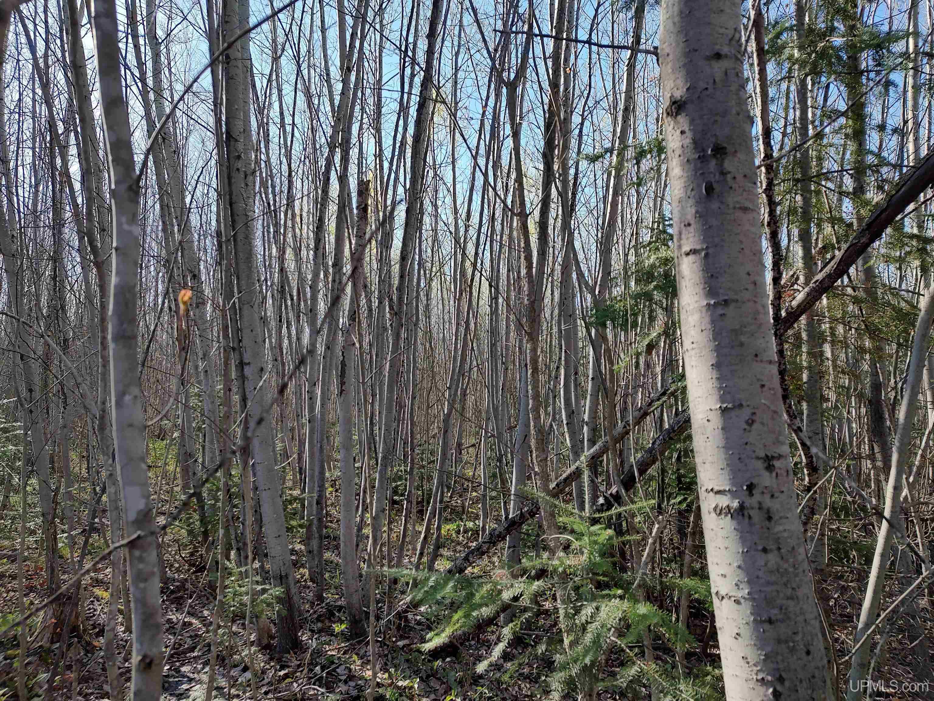 Tbd Tbd Schooner Road Ontonagon, MI 49953 - Photo 17 of 44