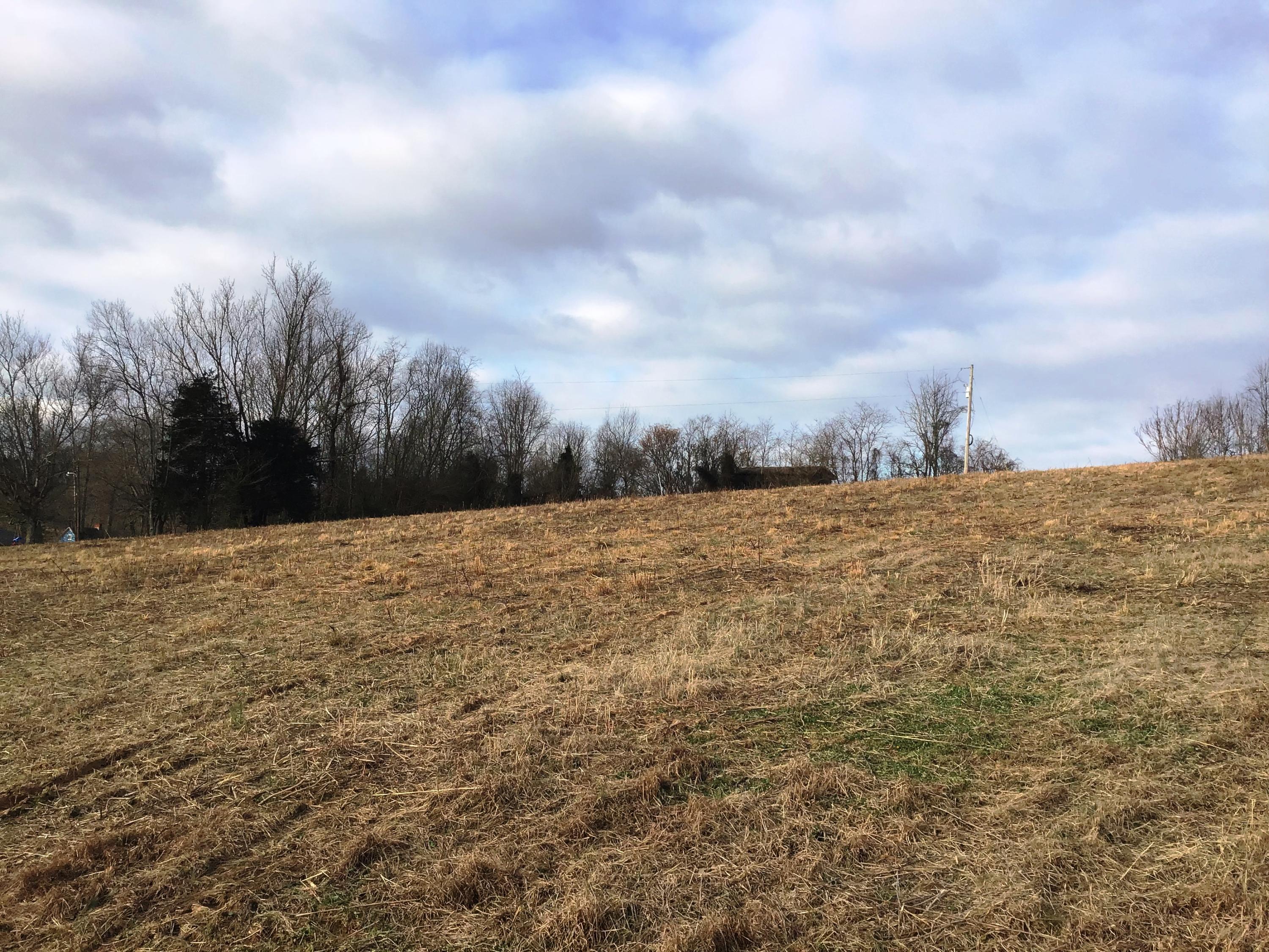 Lot 6 Milburnton Road, Unit 6 Limestone, TN 37681 - Photo 11 of 16 Milburnton