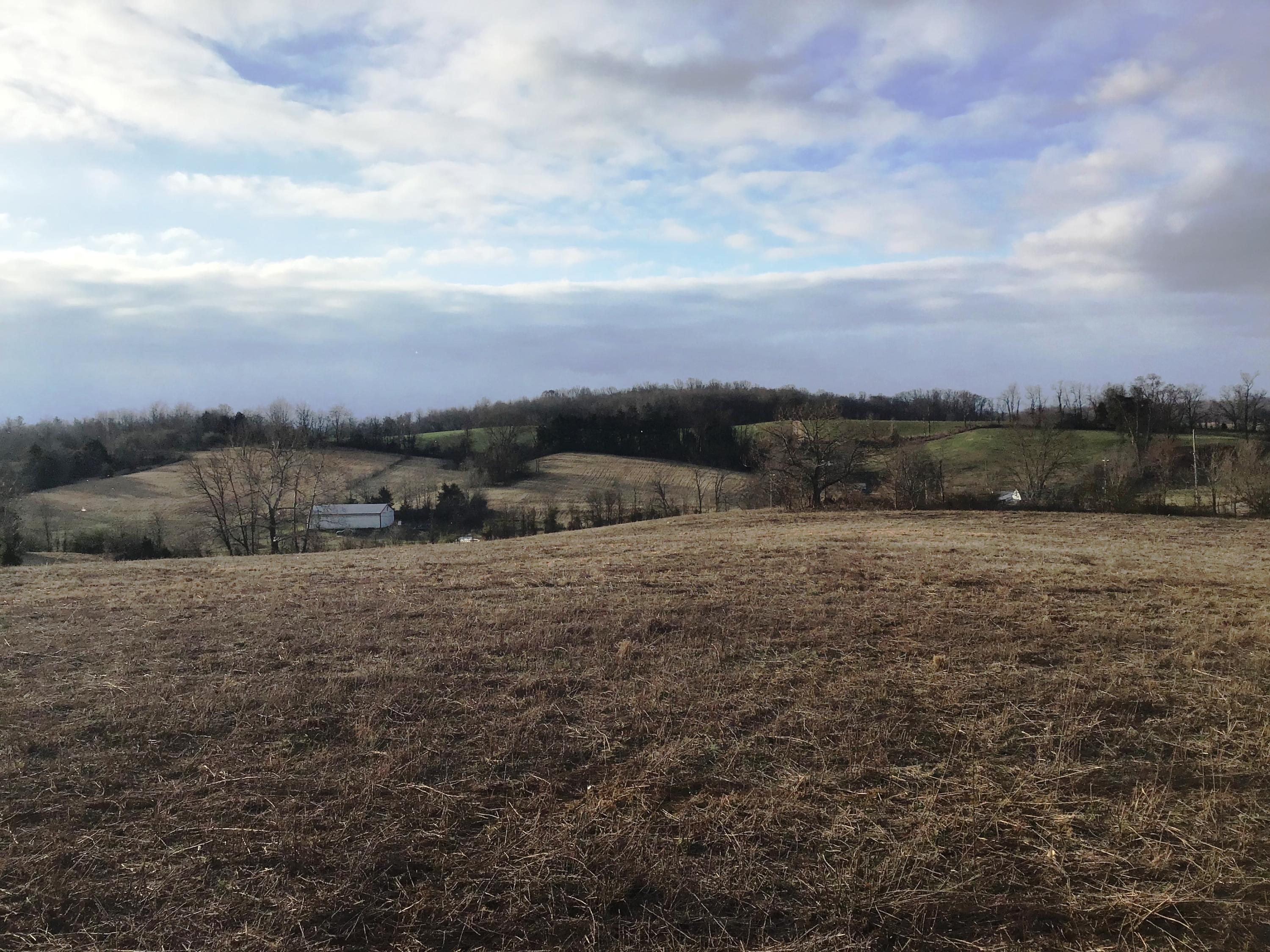 Lot 6 Milburnton Road, Unit 6 Limestone, TN 37681 - Photo 13 of 16 Milburnton