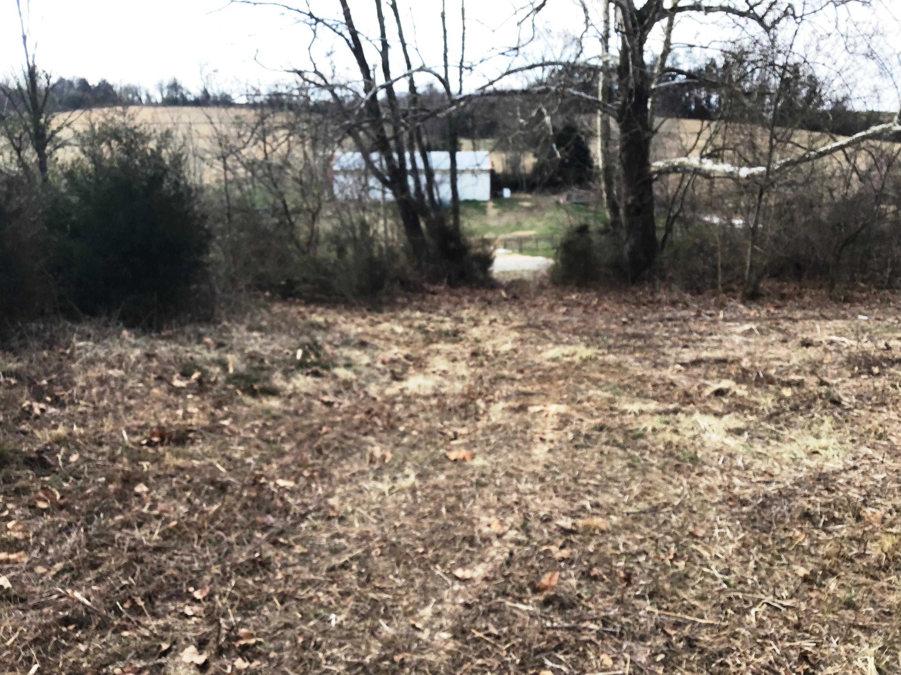 Lot 6 Milburnton Road, Unit 6 Limestone, TN 37681 - Photo 15 of 16 Milburnton