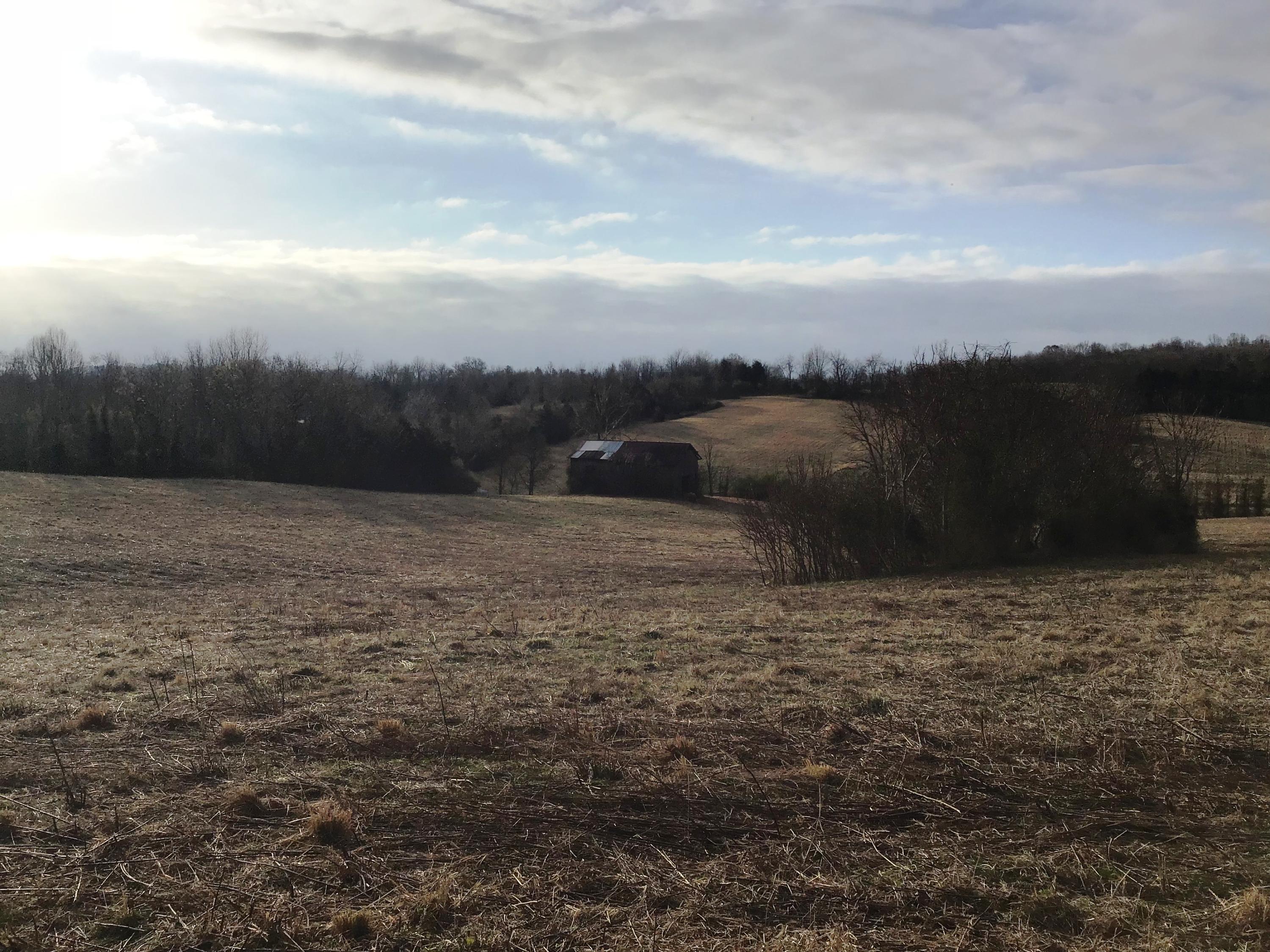 Lot 6 Milburnton Road, Unit 6 Limestone, TN 37681 - Photo 5 of 16 Milburnton Drone A