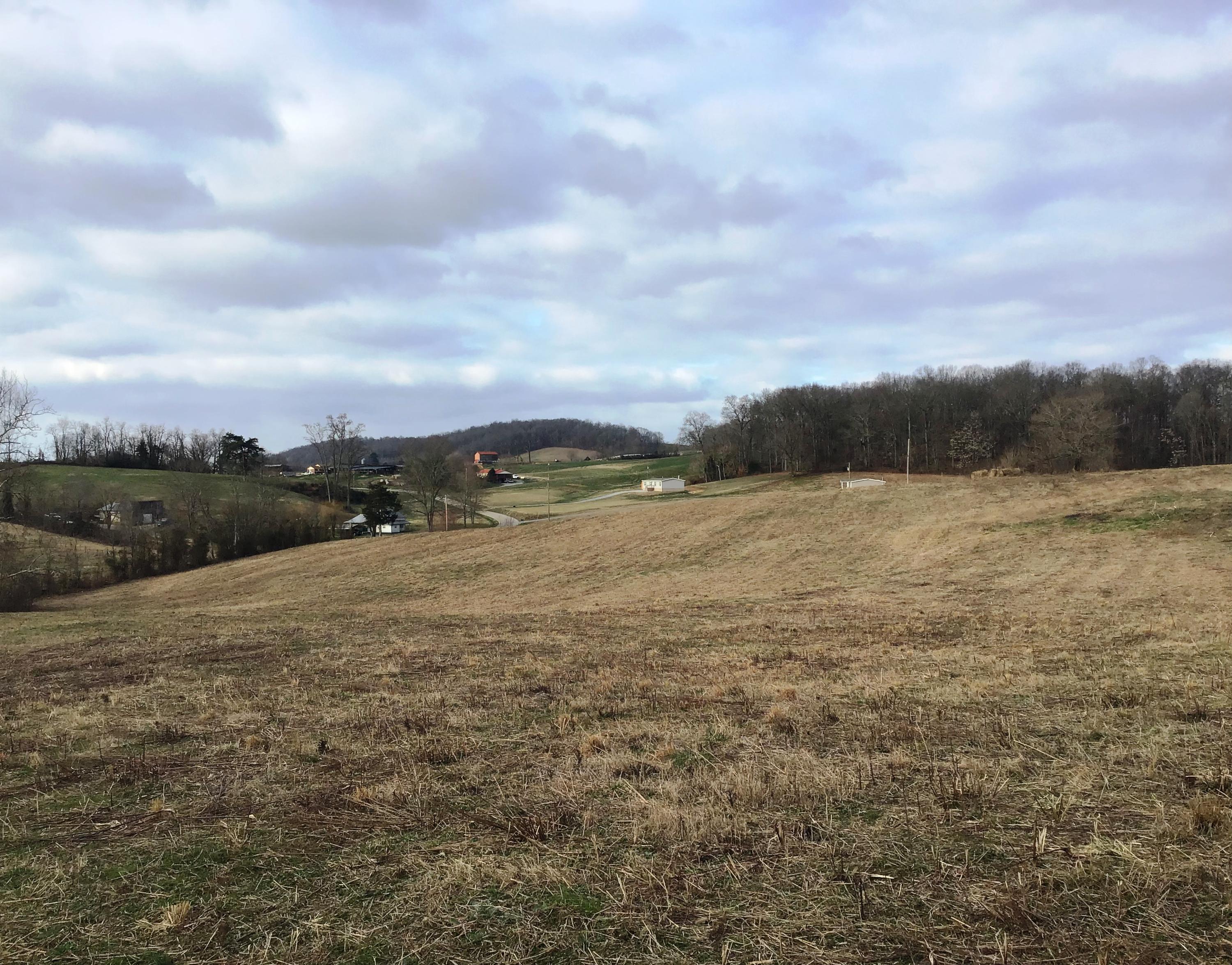 Lot 6 Milburnton Road, Unit 6 Limestone, TN 37681 - Photo 7 of 16 Milburnton