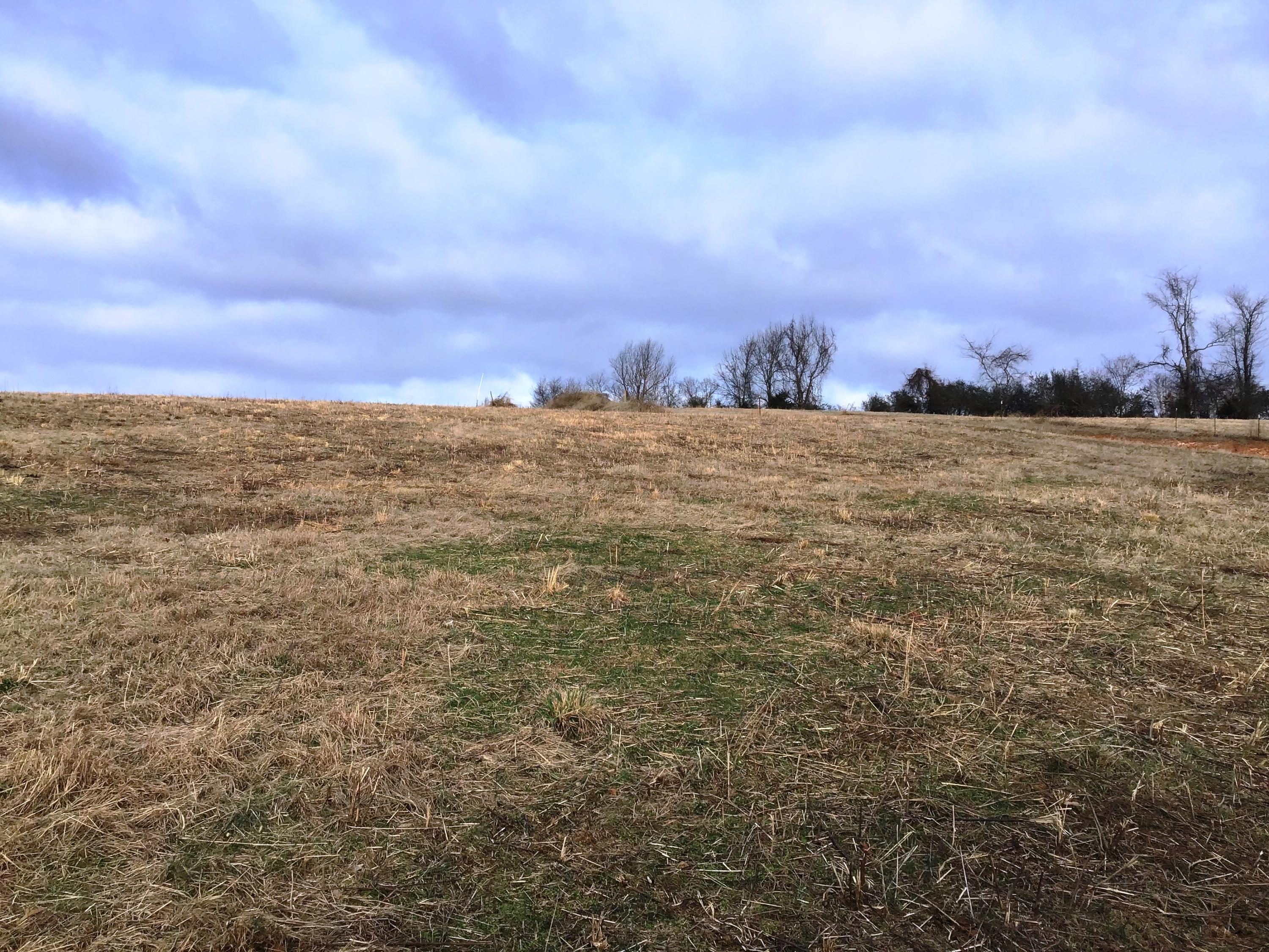 Lot 6 Milburnton Road, Unit 6 Limestone, TN 37681 - Photo 10 of 16 Milburnton D