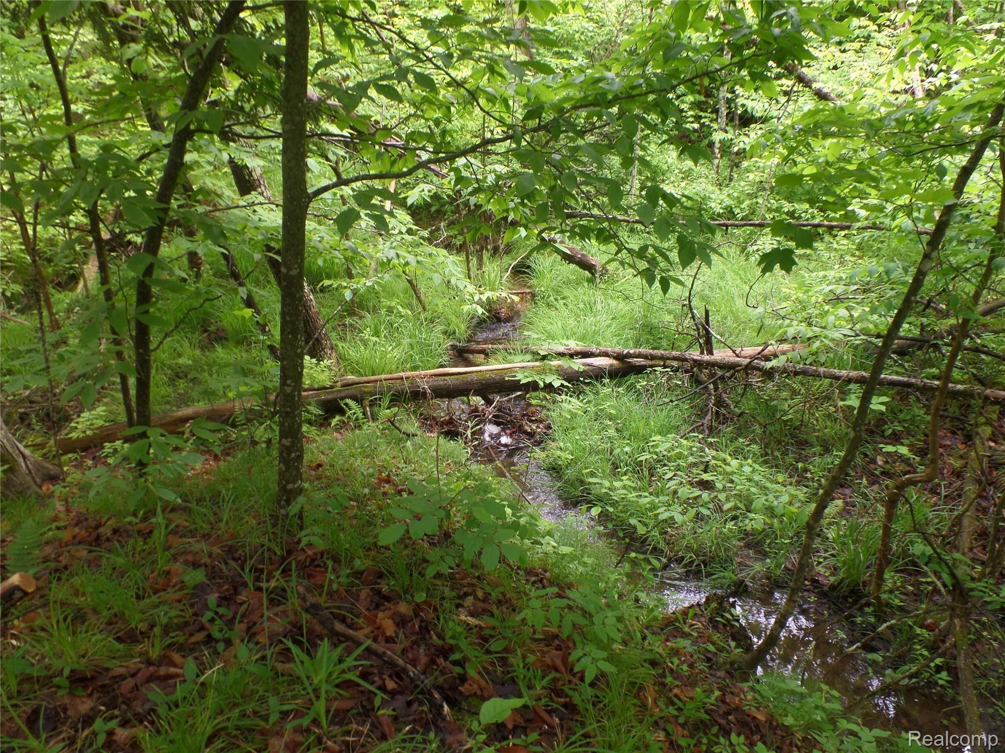13445 Shippy Road Southwest Fife Lake, MI 49633 - Photo 46 of 80 SAM_9289.JPG