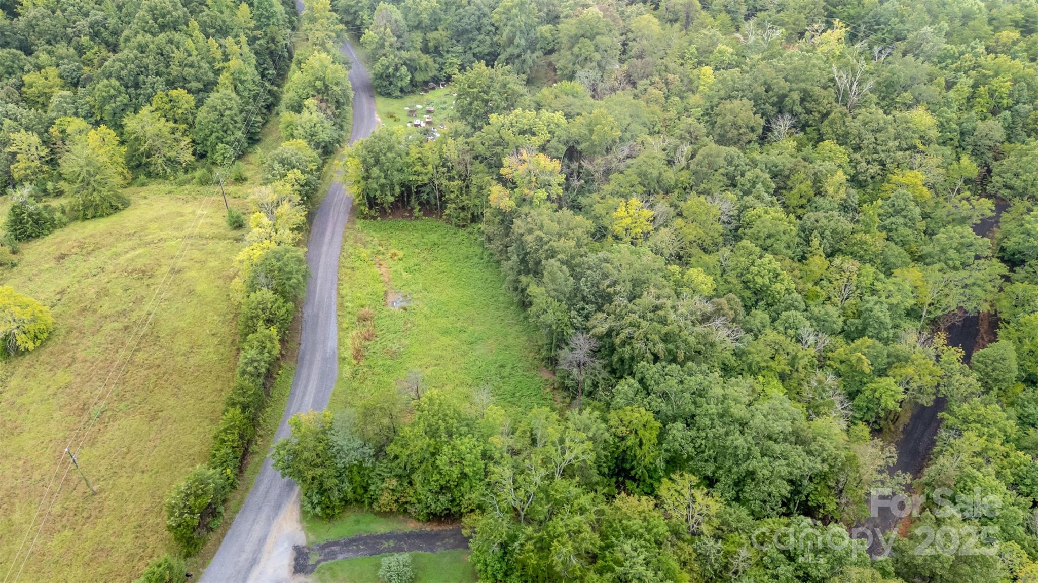 1554 Mason Montgomery Road Clover, SC 29710 - Photo 11 of 19 a view of a yard with a tree