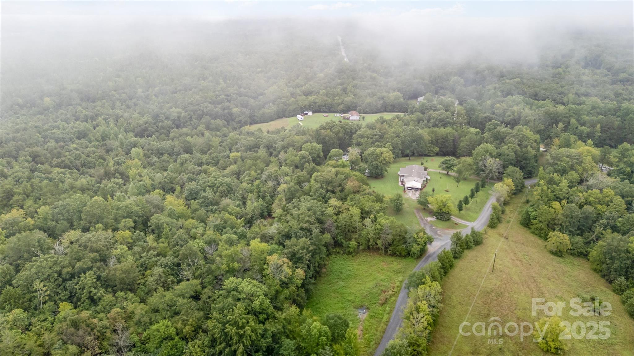 1554 Mason Montgomery Road Clover, SC 29710 - Photo 16 of 19 a view of a forest with a yard
