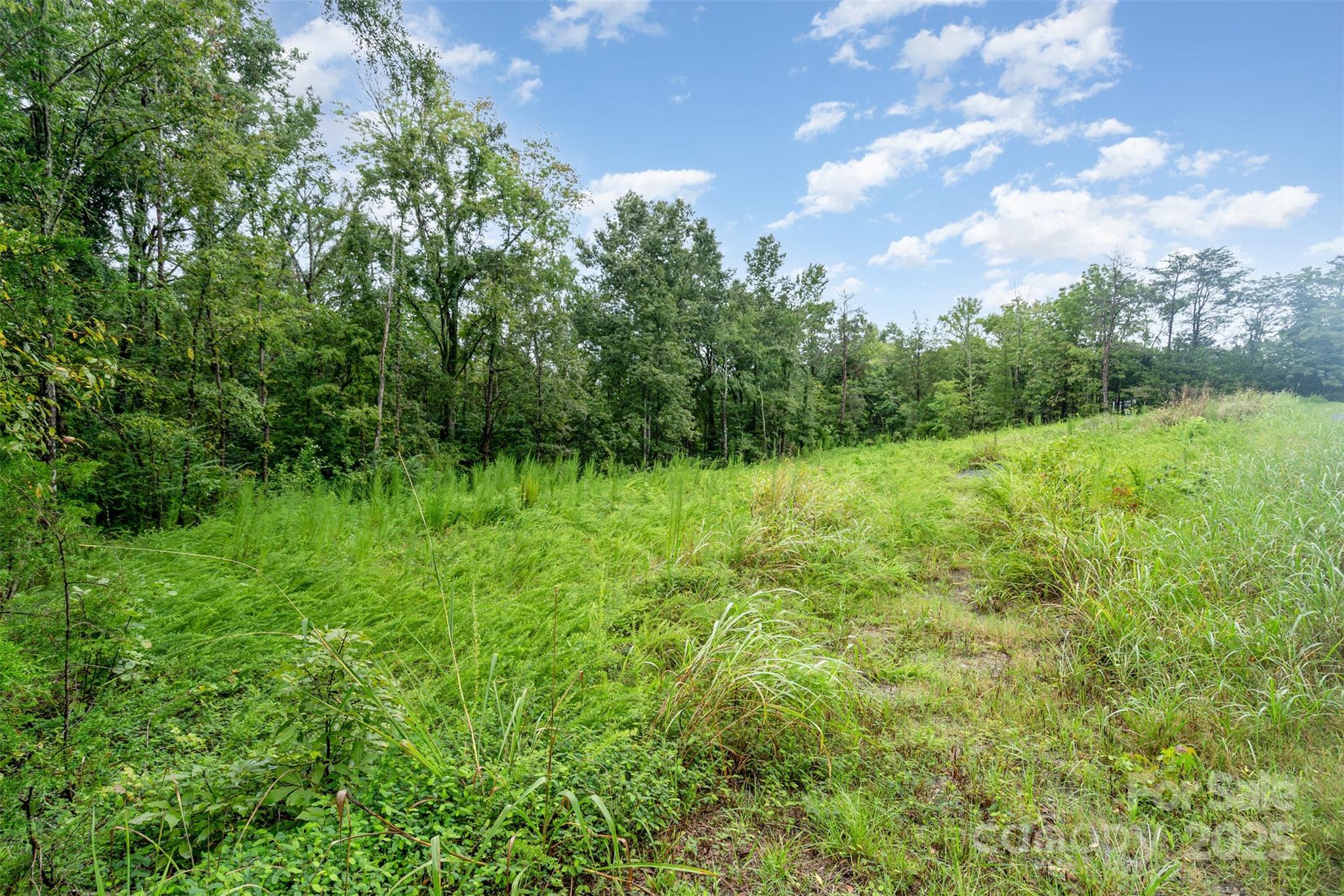 1554 Mason Montgomery Road Clover, SC 29710 - Photo 3 of 19 a view of outdoor space with green field and trees all around