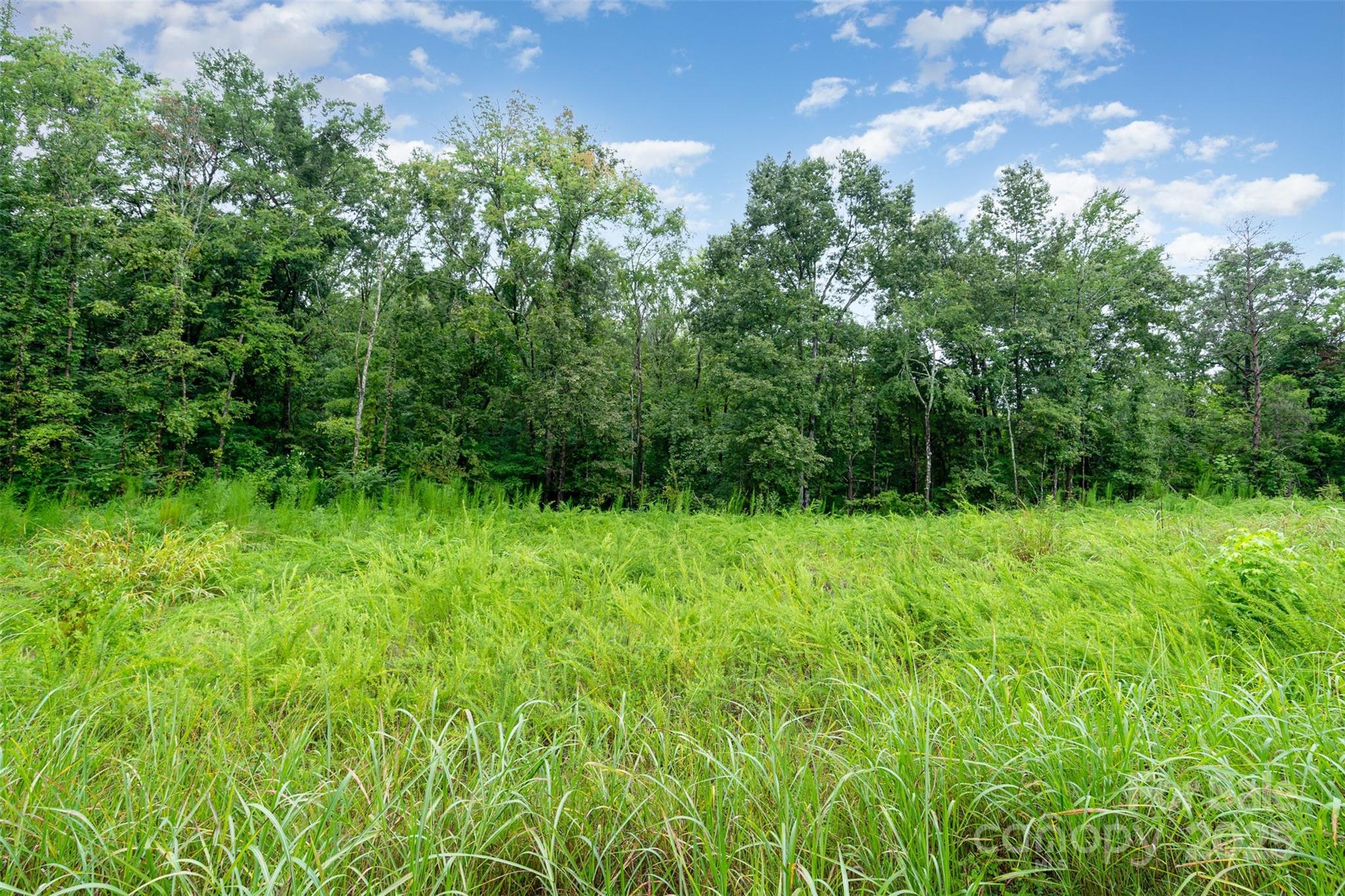 1554 Mason Montgomery Road Clover, SC 29710 - Photo 4 of 19 a view of a lush green space