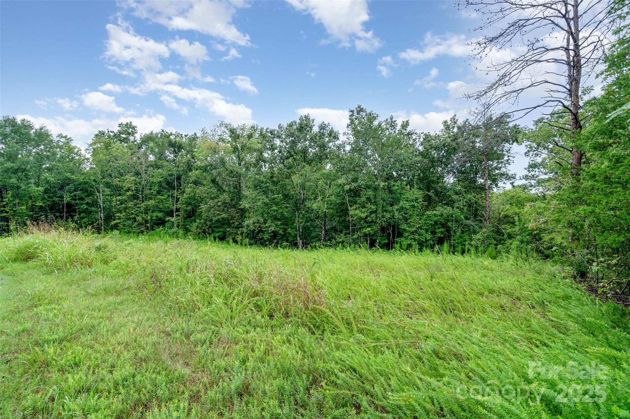 1554 Mason Montgomery Road Clover, SC 29710 - Photo 6 of 19 a view of a big yard with plants and a tree