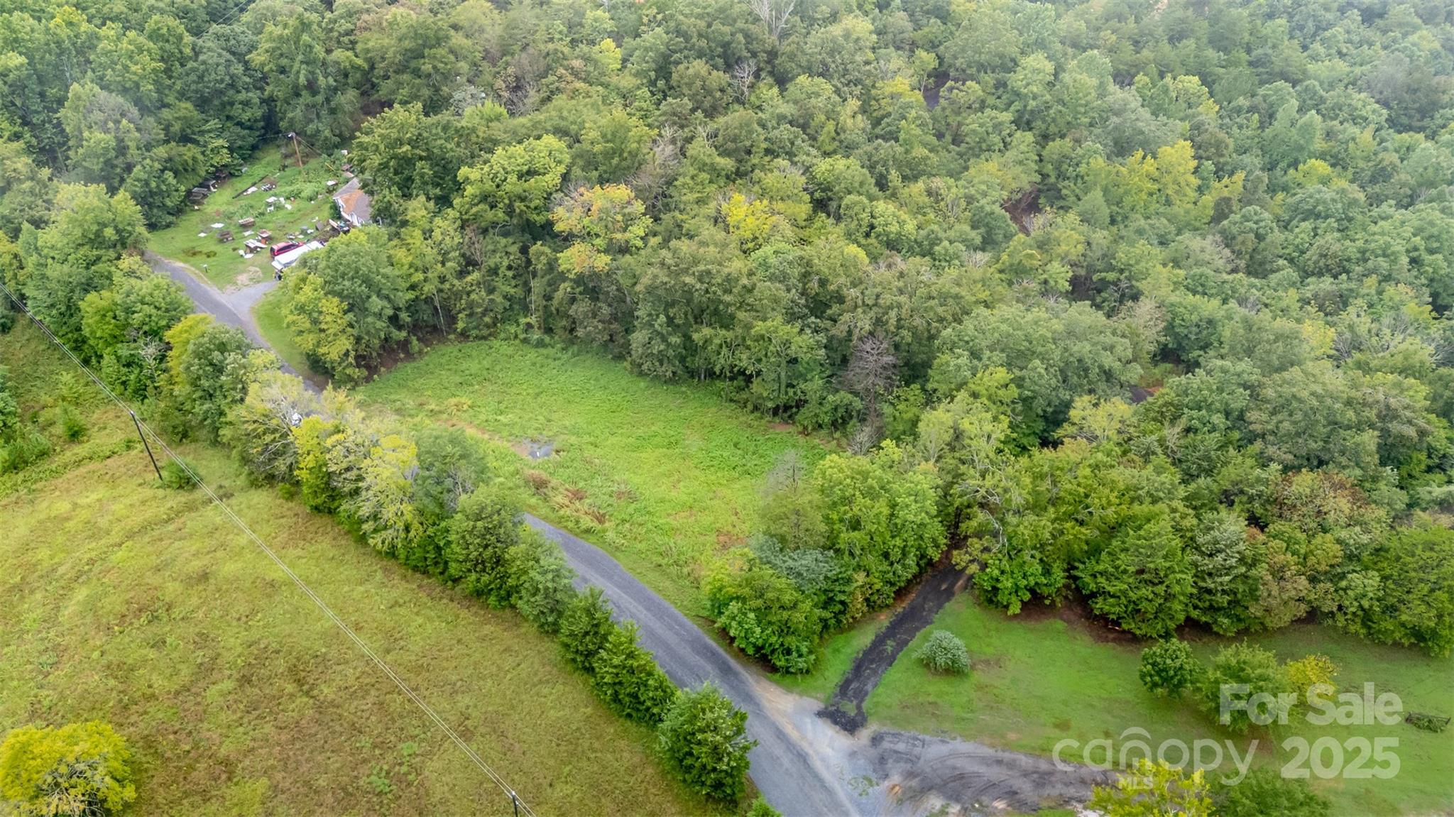 1554 Mason Montgomery Road Clover, SC 29710 - Photo 10 of 19 a view of a garden with plants