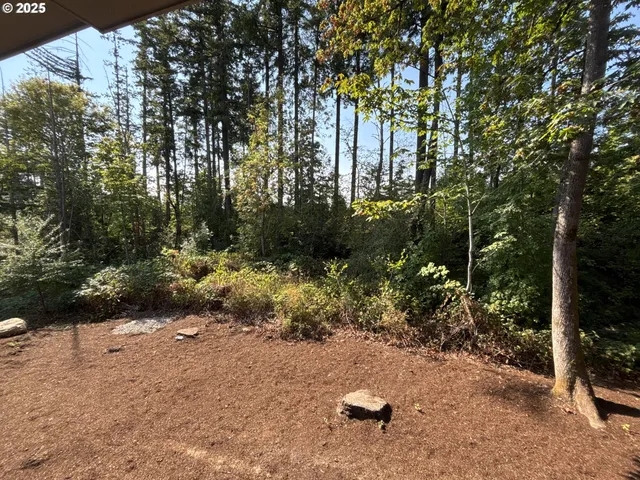 a view of backyard with green space