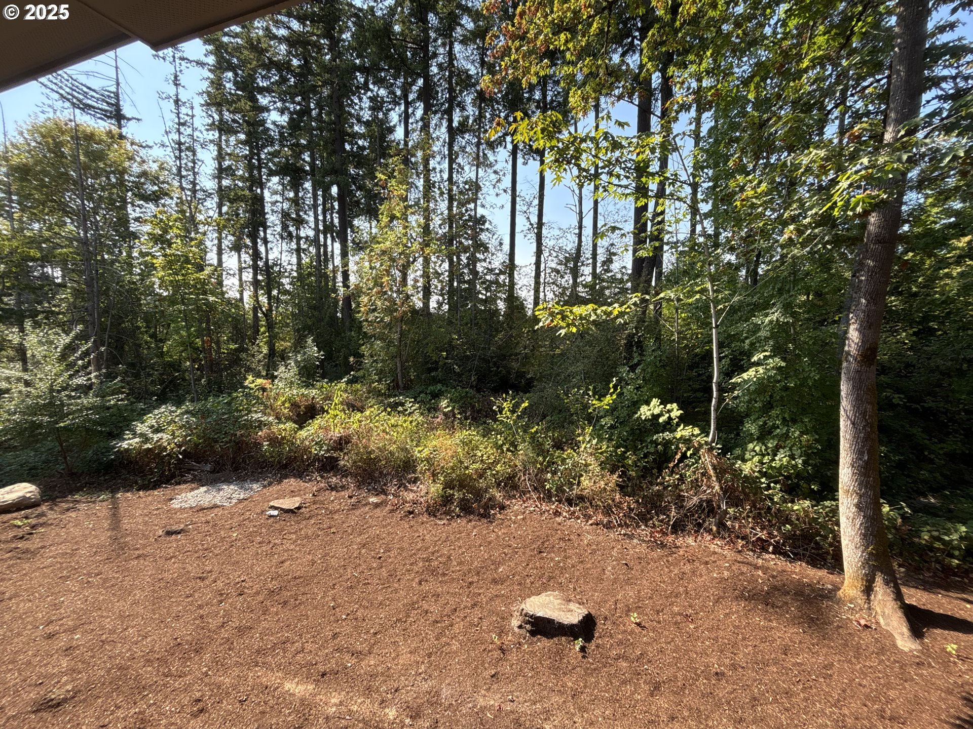 9999 Southwest Taylor Street Portland, OR 97225 - Photo 20 of 32 a view of backyard with green space