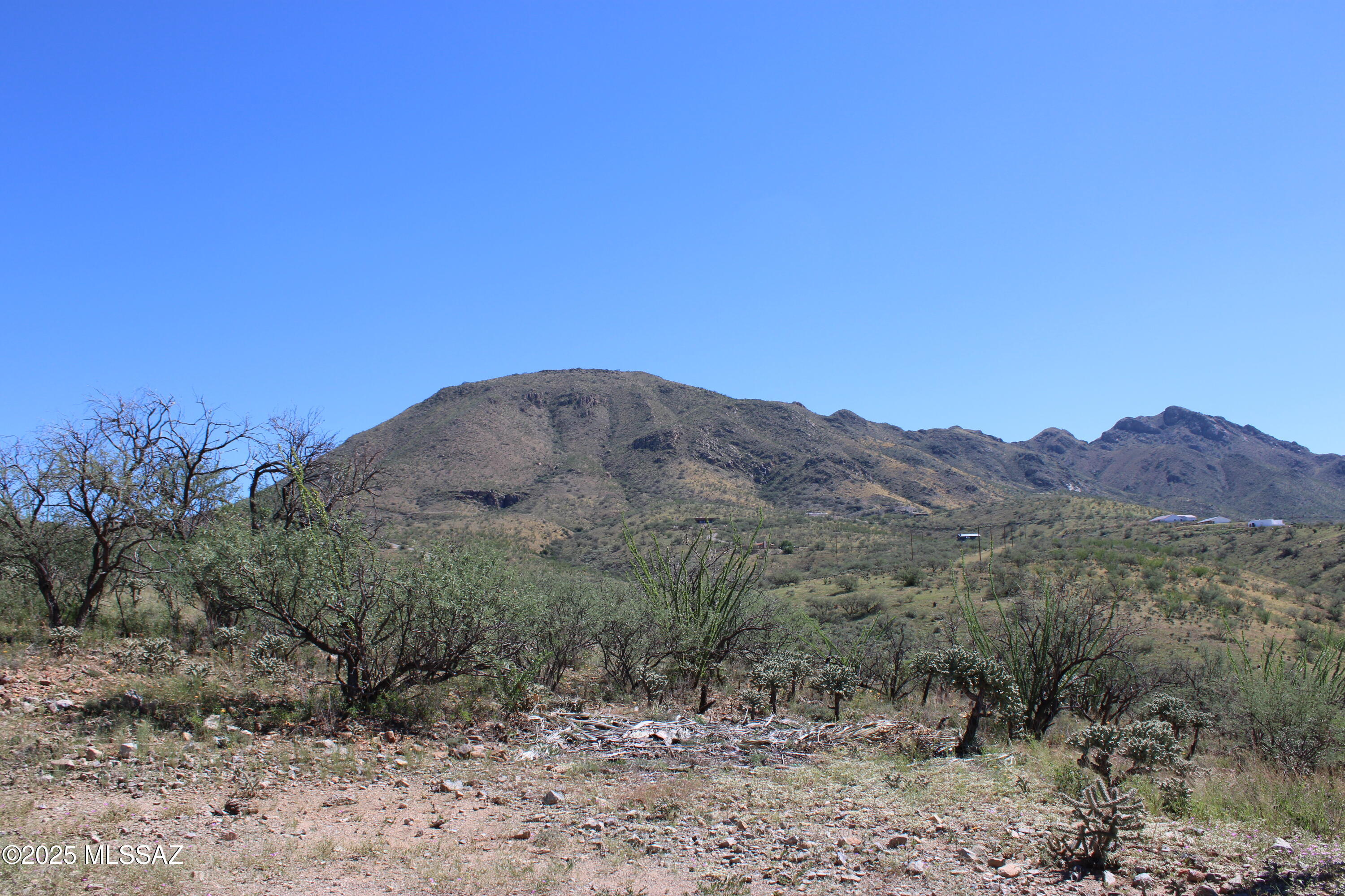 346 Anfibio Court, Unit 83 Rio Rico, AZ 85648 - Photo 9 of 14