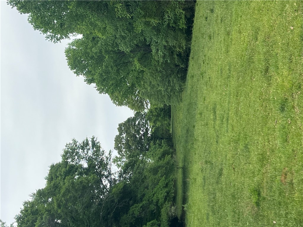 107 Humphrey Wright Road Honea Path, SC 29654 - Photo 17 of 23 Lush green landscape with mature trees bordering a serene, open field.