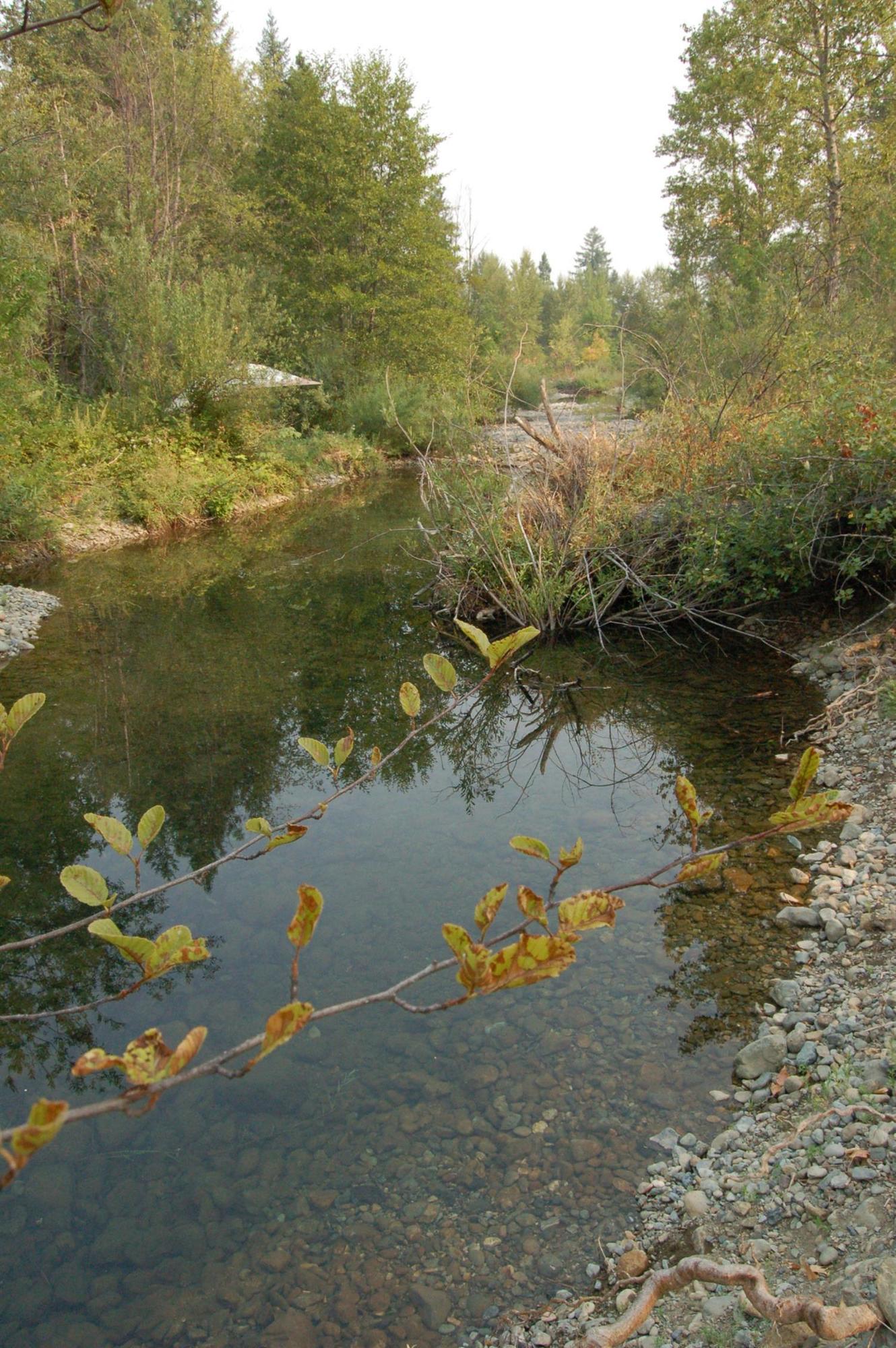 2180 Dick George Road Cave Junction, OR 97523 - Photo 12 of 34 Different location along the West side o