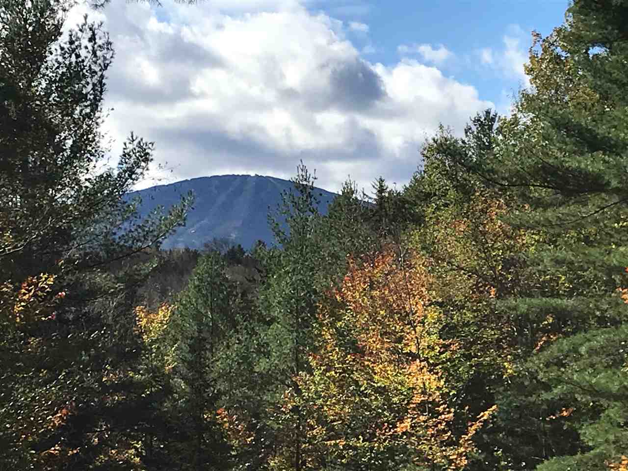 17 Spruce High Road Winhall, VT 05340 - Photo 2 of 40