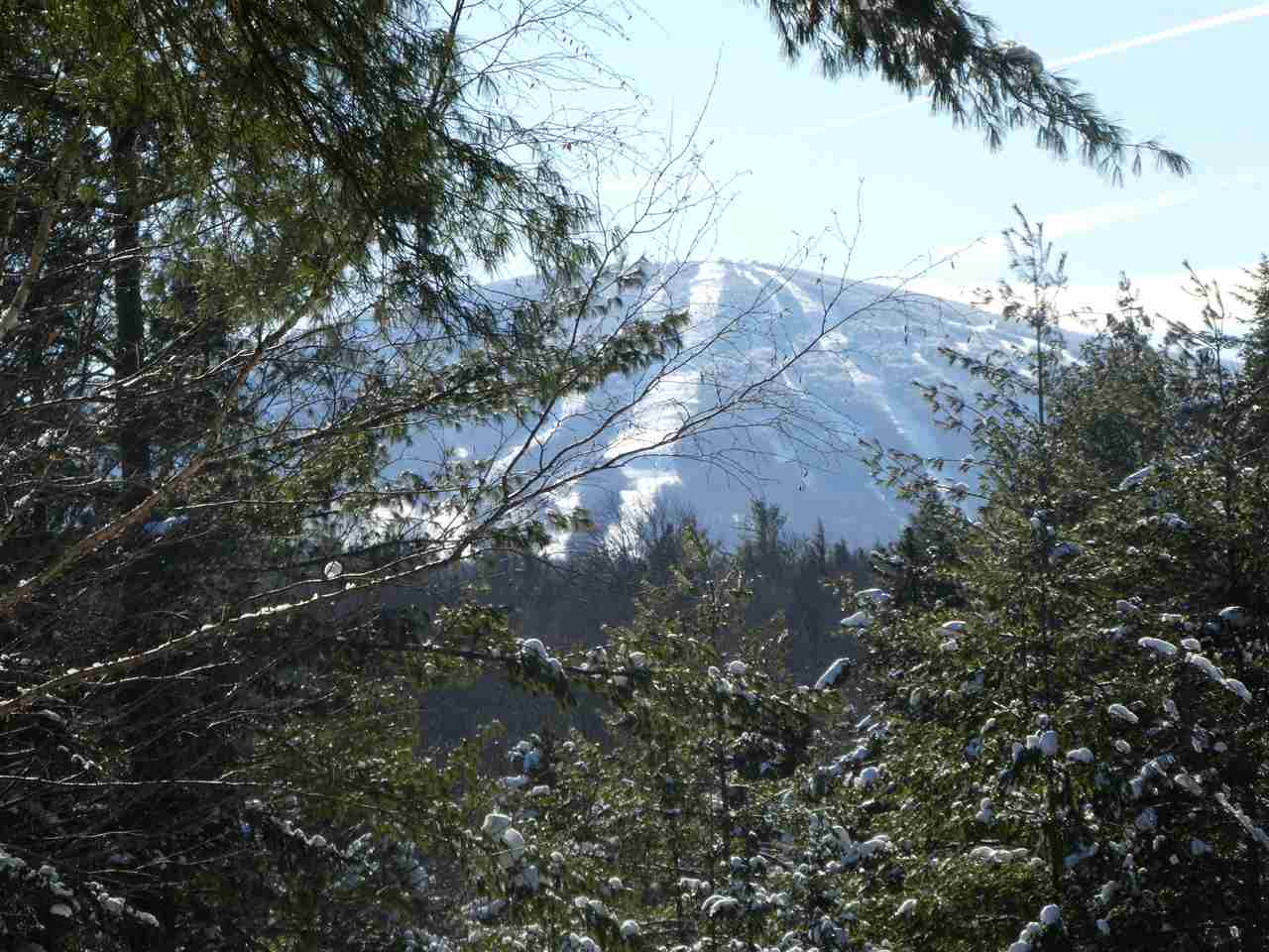 17 Spruce High Road Winhall, VT 05340 - Photo 39 of 40