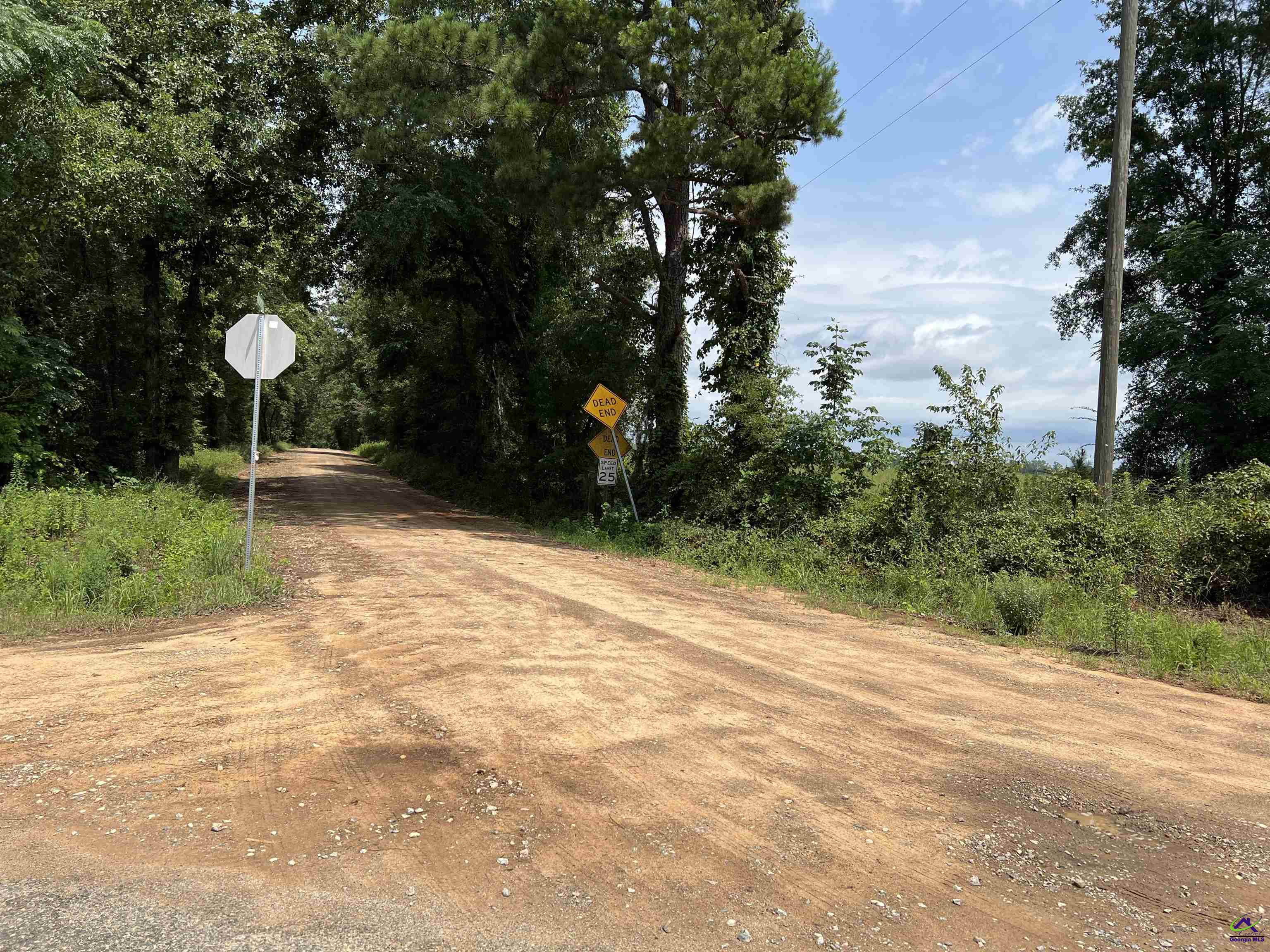 Red Dog Farm Road Cochran, GA 31014 - Photo 4 of 11