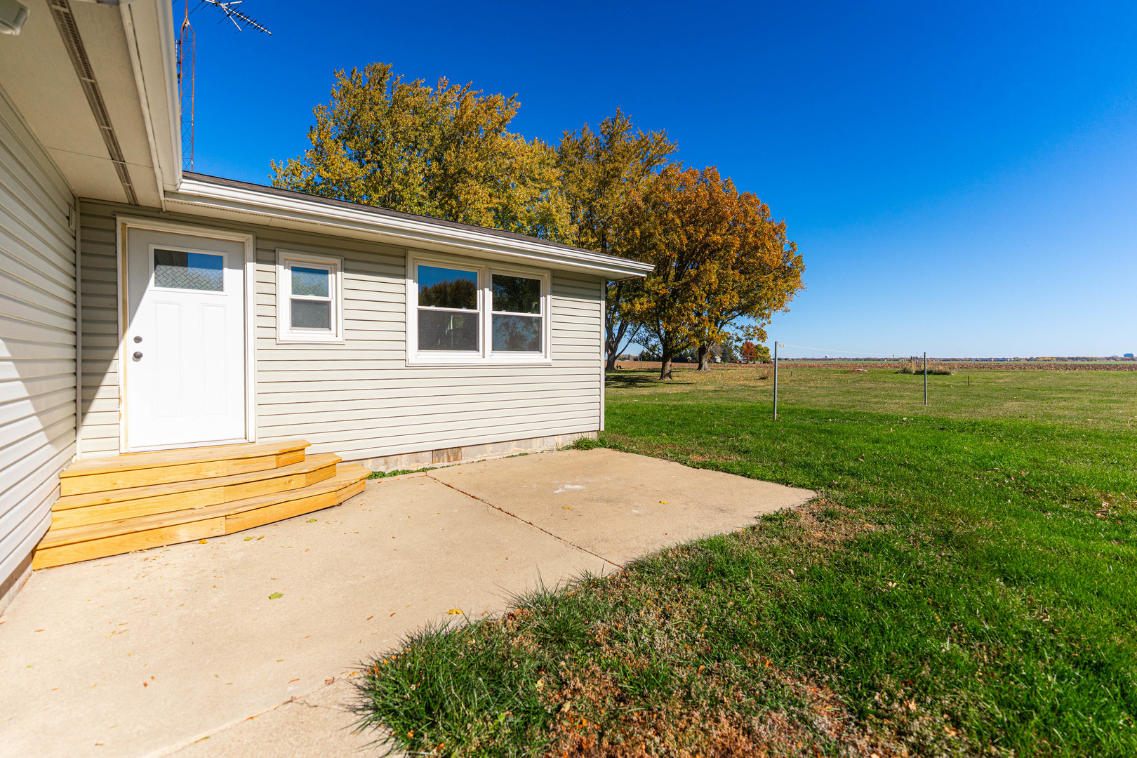 21044 Virginia Road DeKalb, IL 60115 - Photo 49 of 58 a view of a backyard with plants and palm trees