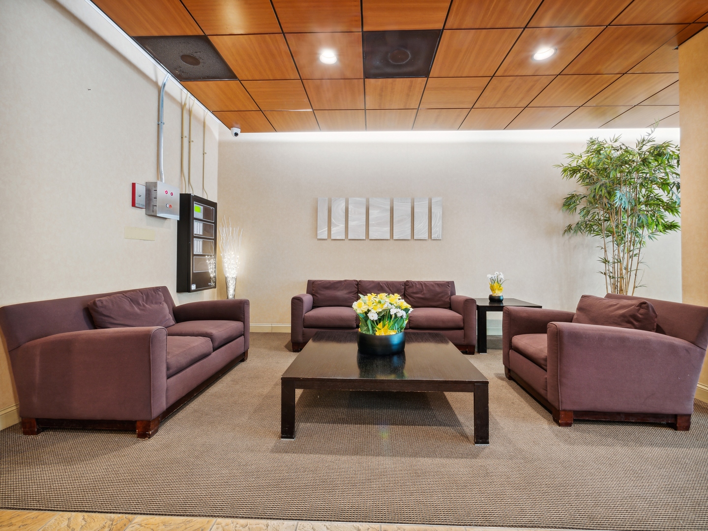 3110 North Sheridan Road, Unit 904 Chicago, IL 60657 - Photo 11 of 12 a living room with furniture and a potted plant