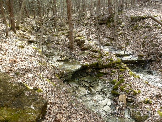 0 State Rte 41 West Union, OH 45693 - Photo 45 of 65