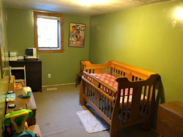 340 West 18 Road Mesick, MI 49668 - Photo 11 of 81 IMG_9763