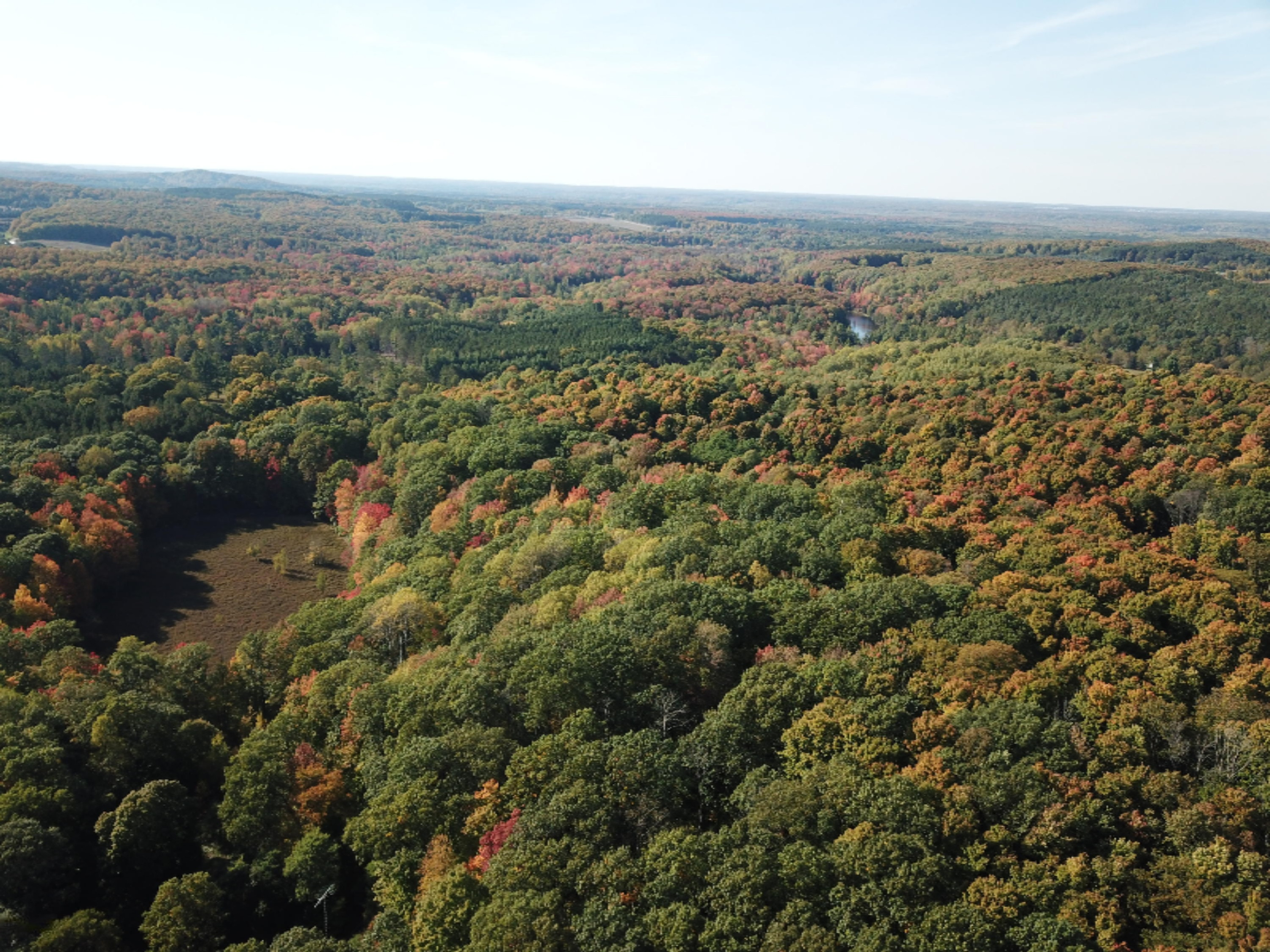340 West 18 Road Mesick, MI 49668 - Photo 26 of 81 DJI_0075