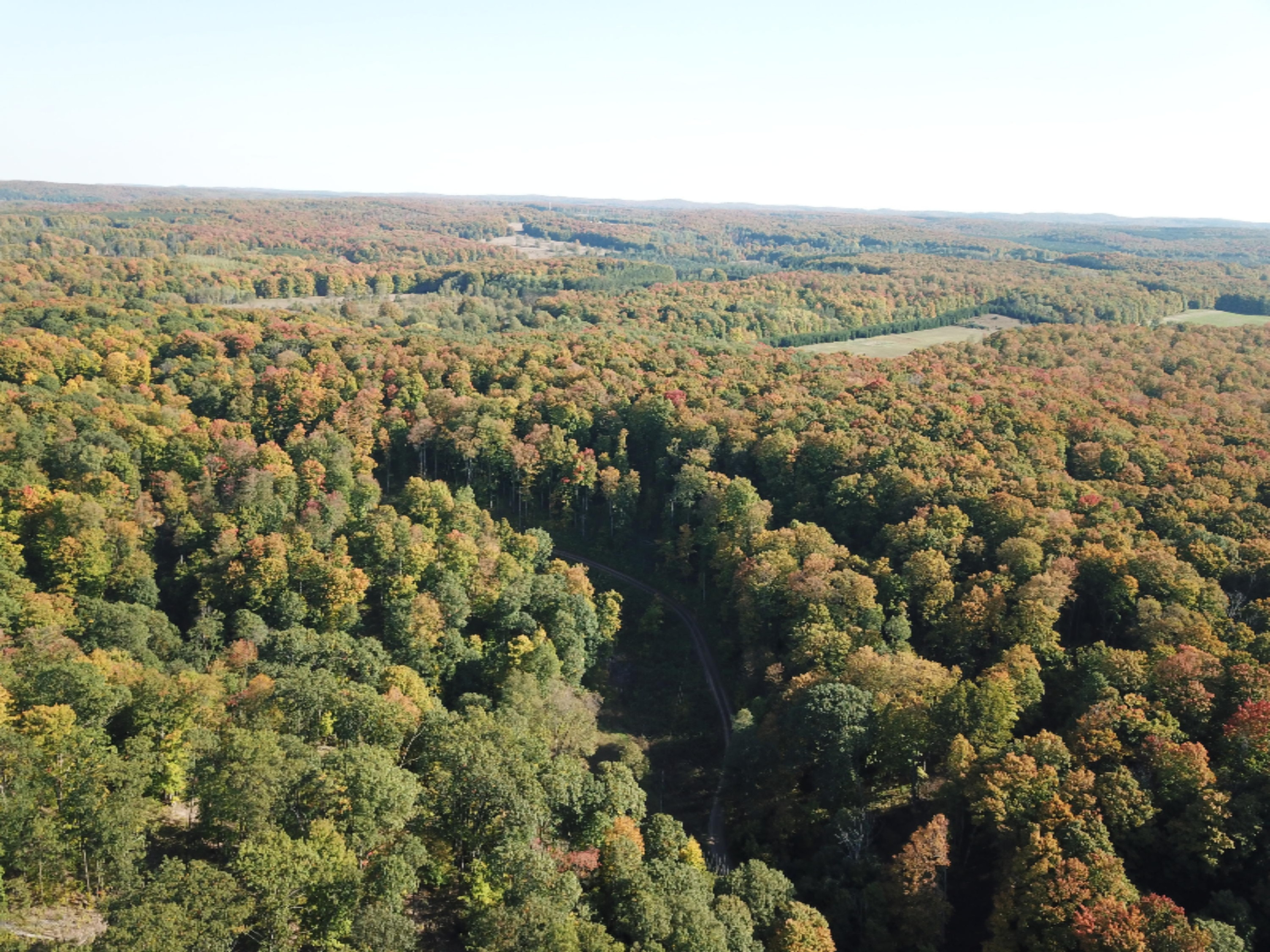 340 West 18 Road Mesick, MI 49668 - Photo 29 of 81 DJI_0083
