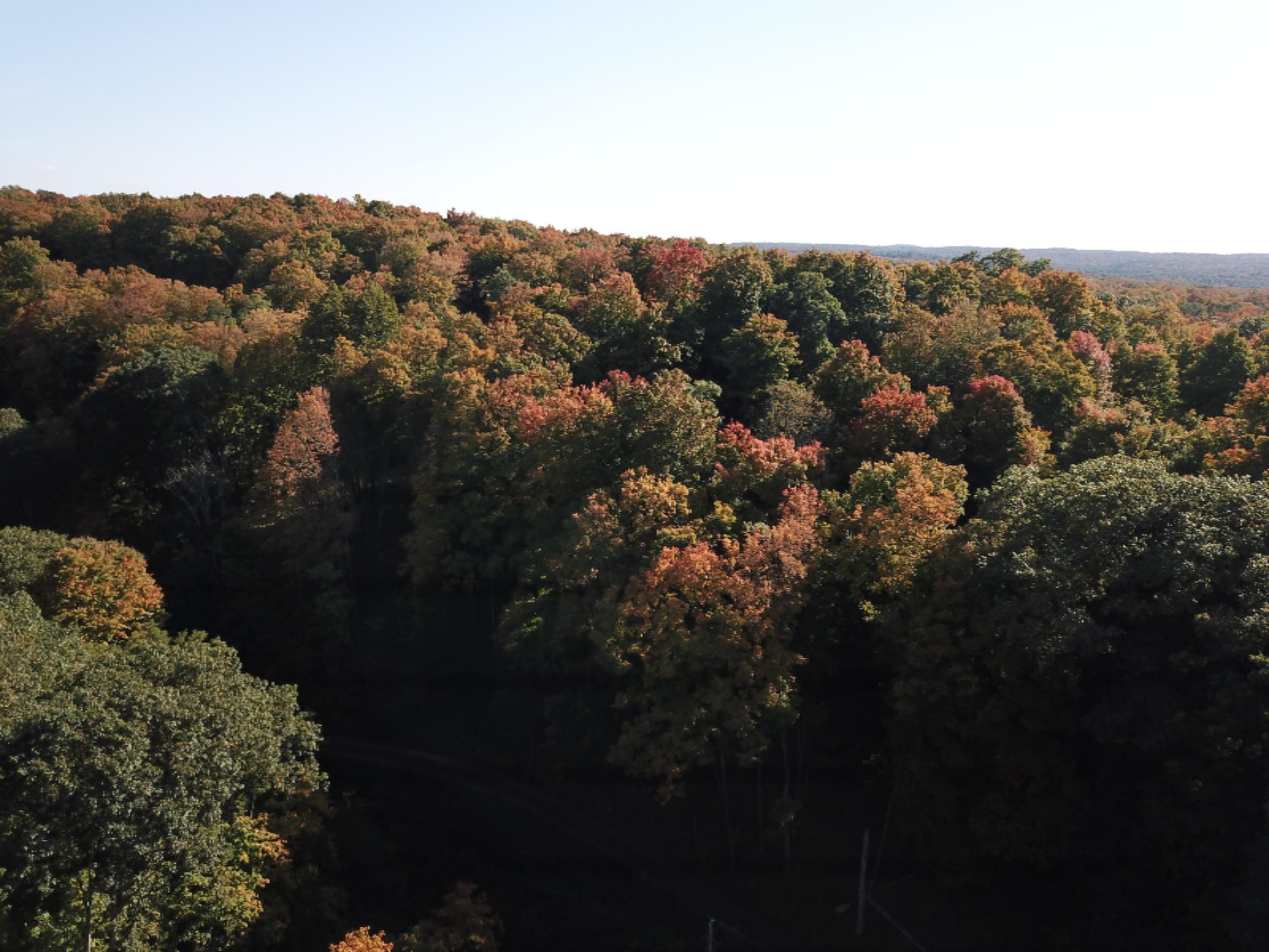 340 West 18 Road Mesick, MI 49668 - Photo 34 of 81 DJI_0090