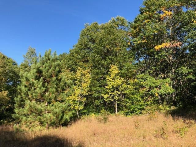 340 West 18 Road Mesick, MI 49668 - Photo 57 of 81 IMG_9722