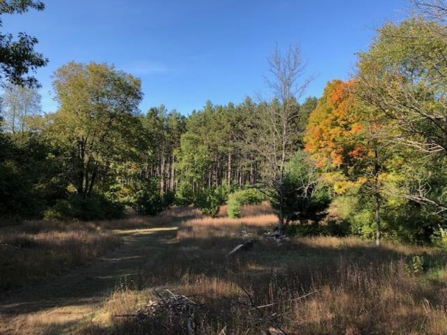 340 West 18 Road Mesick, MI 49668 - Photo 60 of 81 IMG_9725