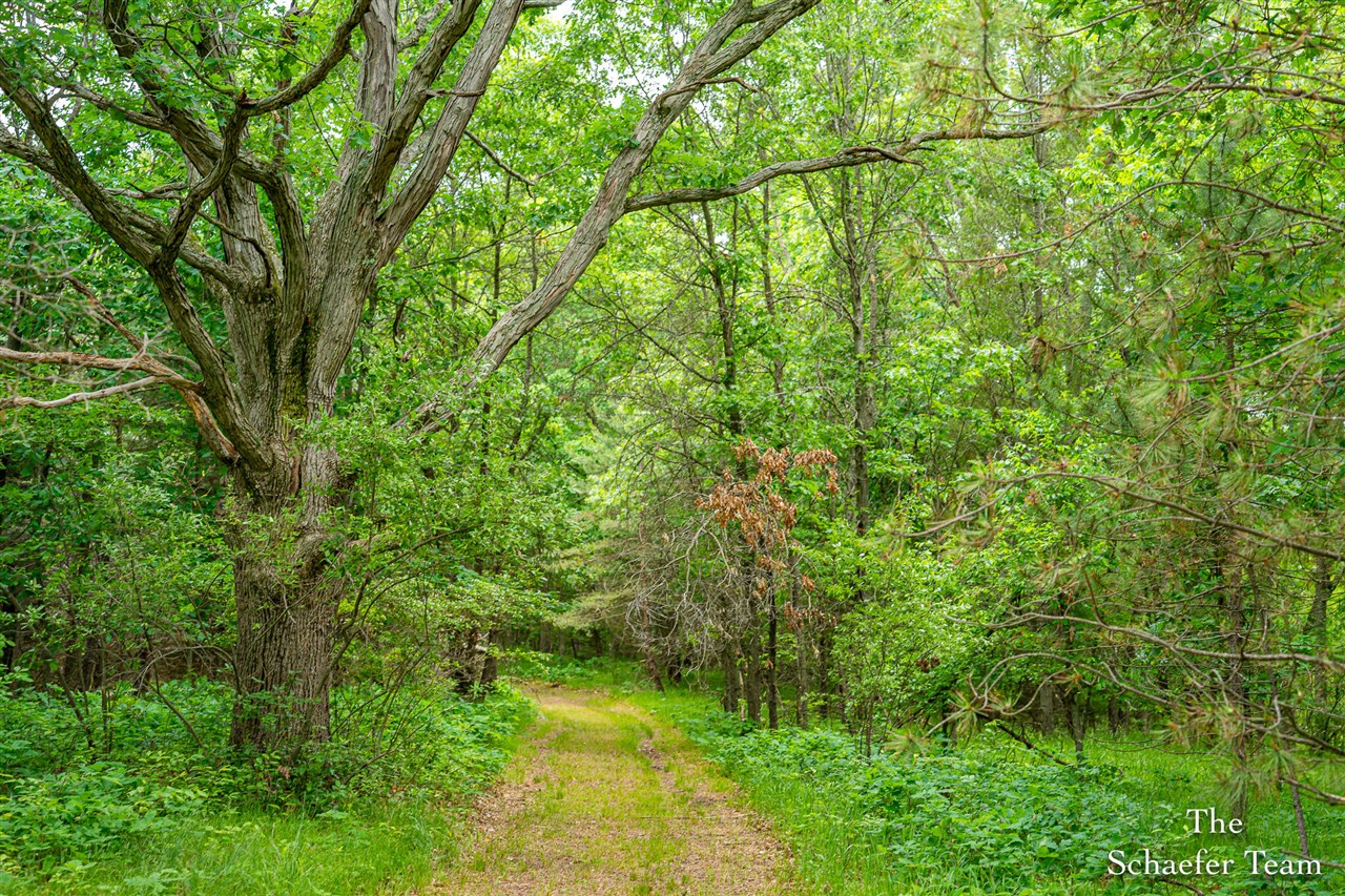 5227 Johnson Road Greenville, MI 48838 - Photo 16 of 33