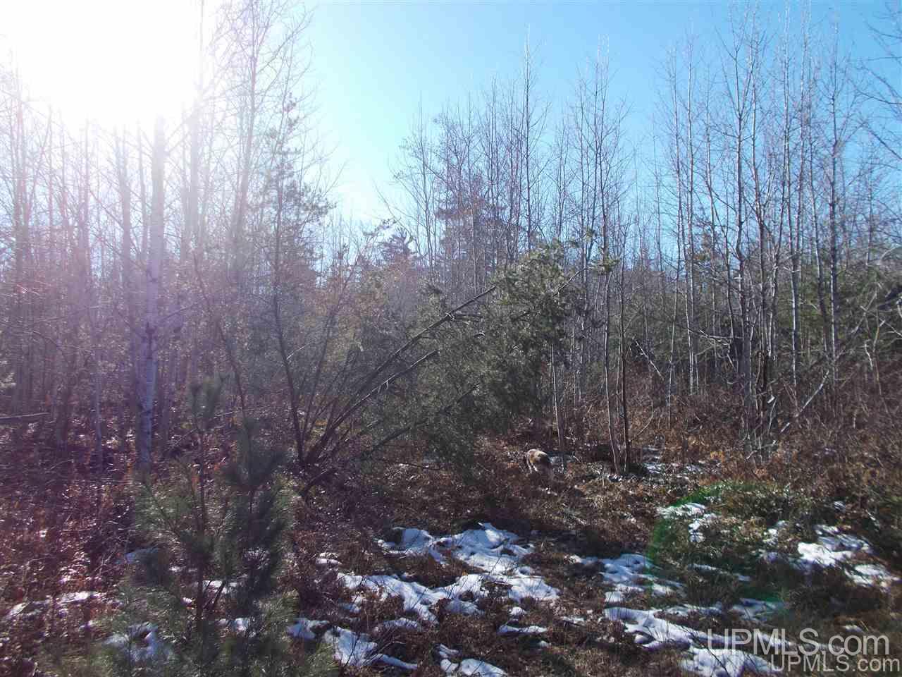 74-acres 74-acres Off Co Road Negaunee, MI 49866 - Photo 15 of 17