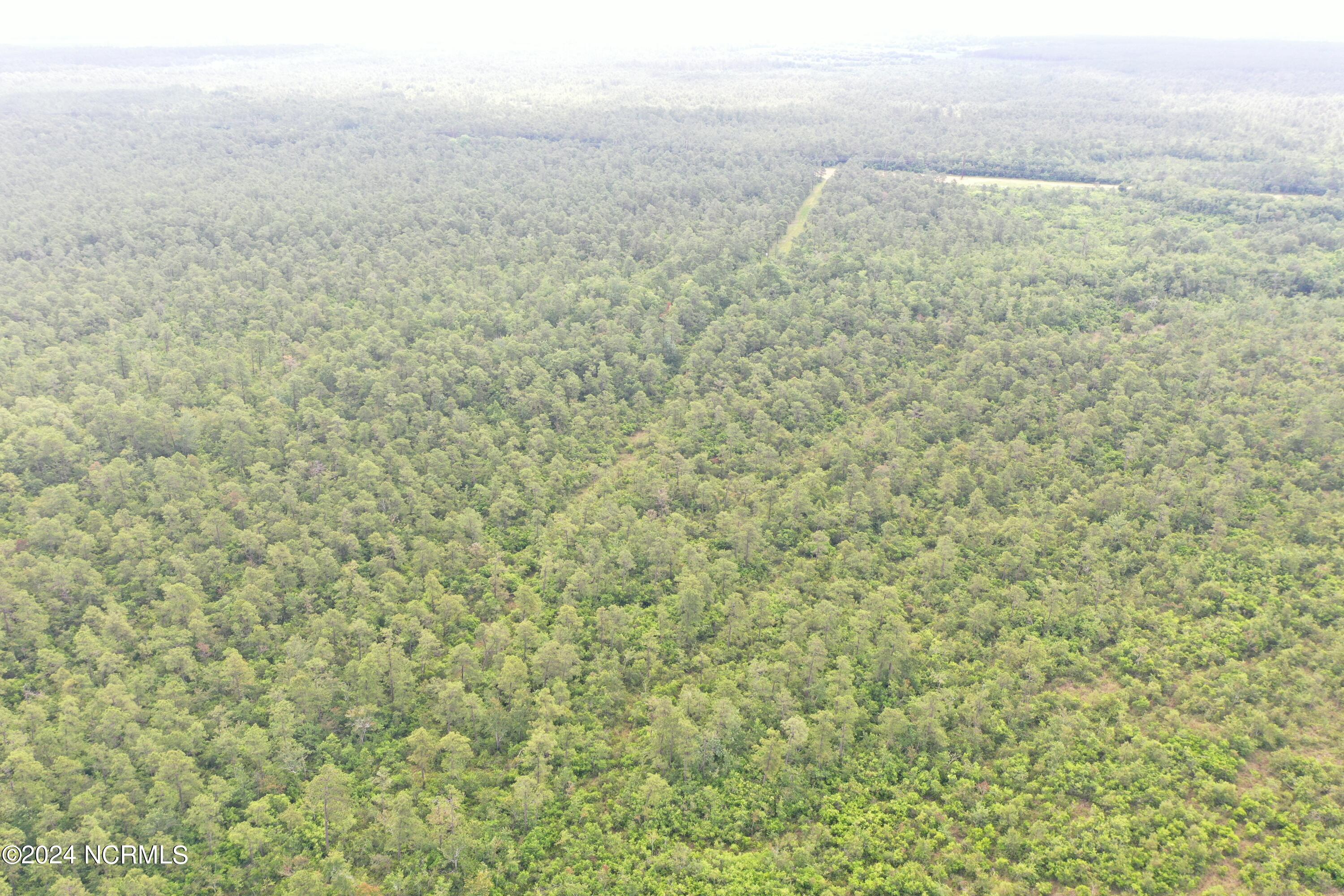 Tbd Pelham Road Watha, NC 28478 - Photo 14 of 25 14