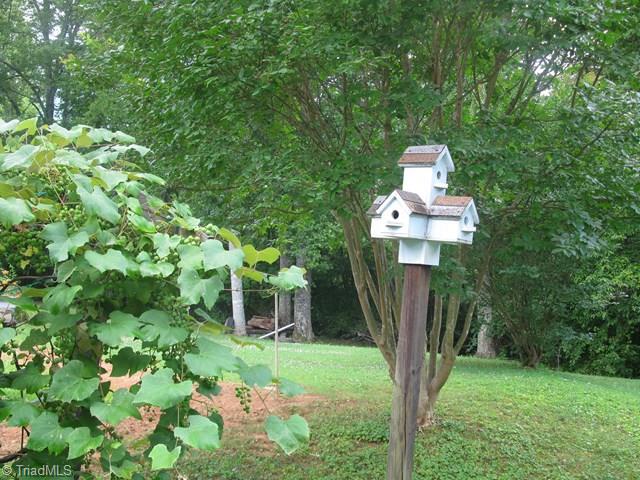 536 Boomer Road Boomer, NC 28606 - Photo 11 of 33 Gallery Image 11